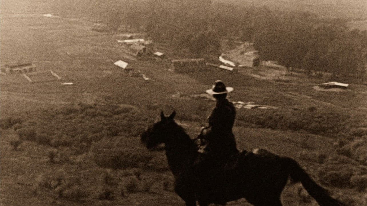 The Calgary Stampede