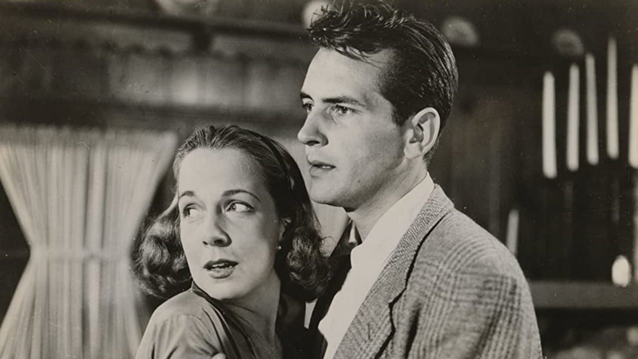 더 나이트 홀즈 테러