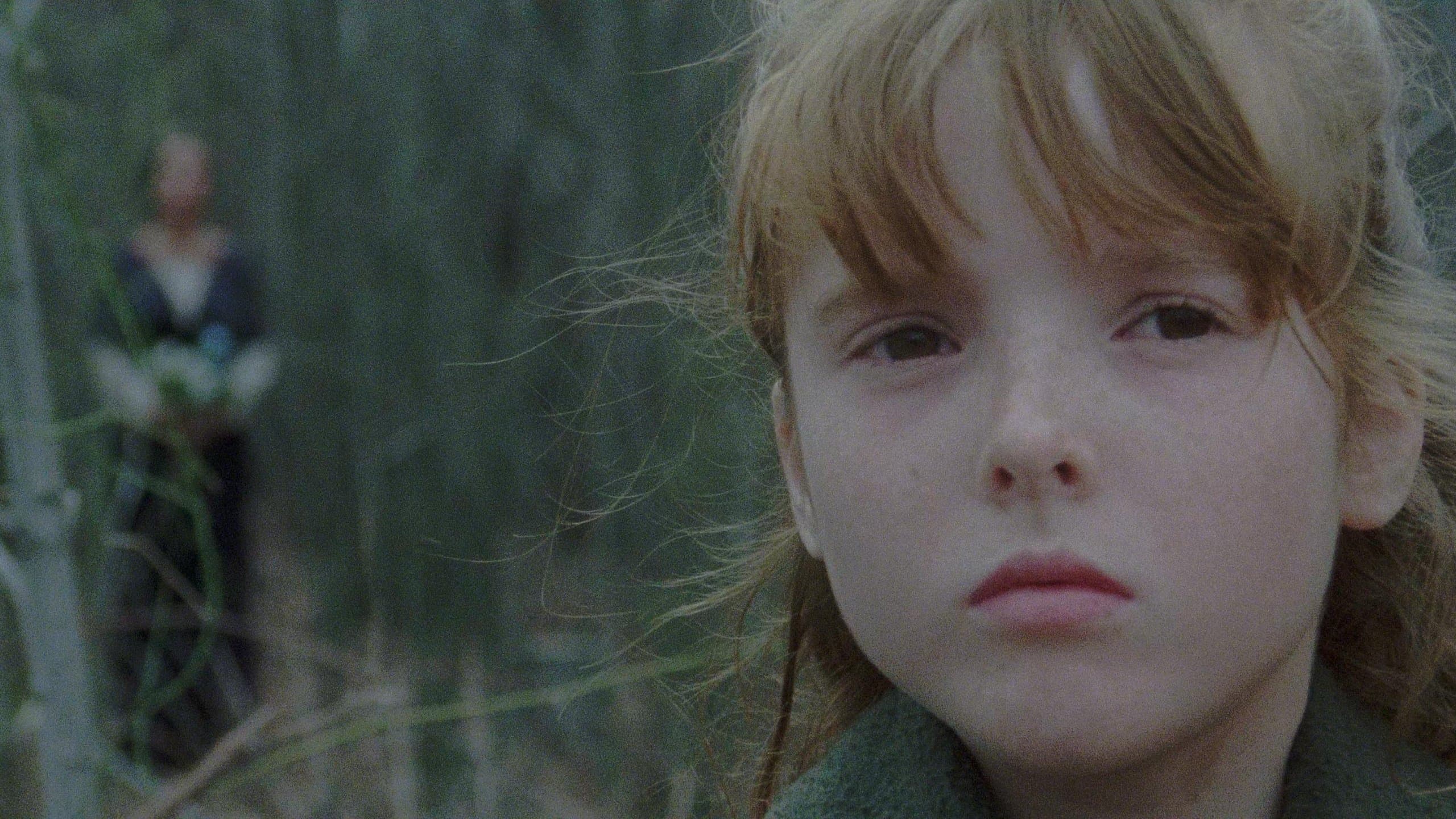 무덤 위에 세운 집