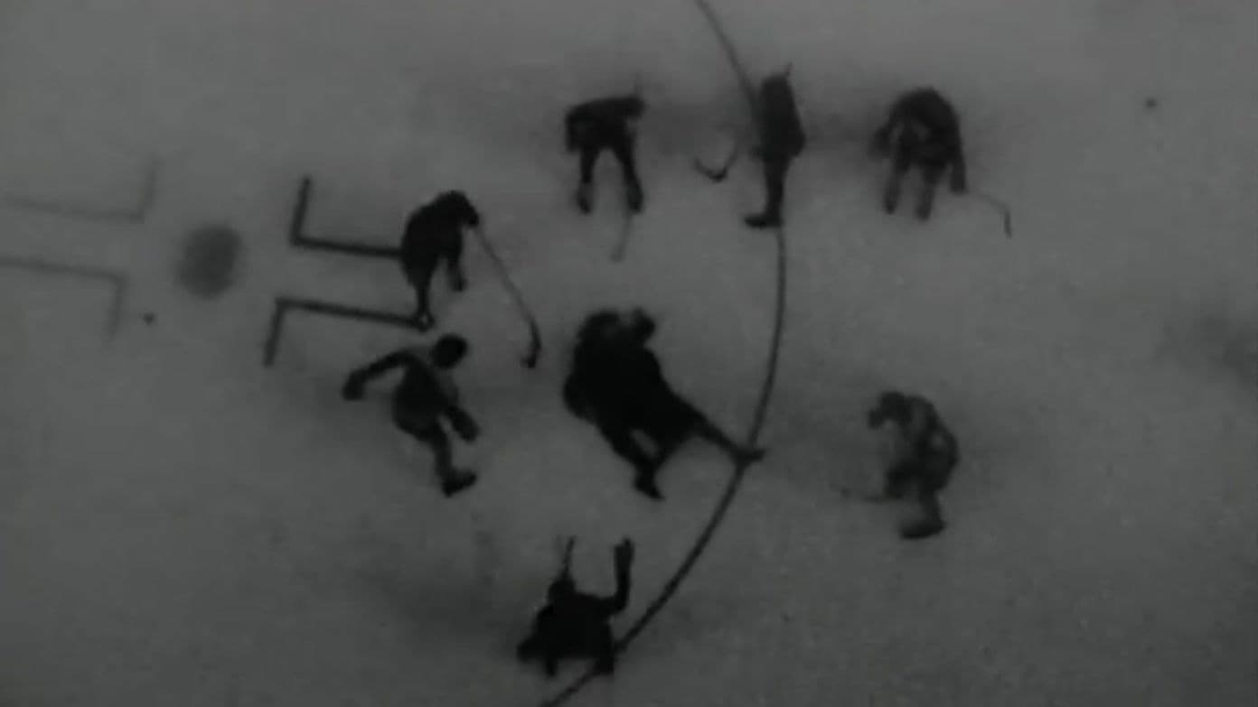 겁쟁이는 무릎을 꿇는다