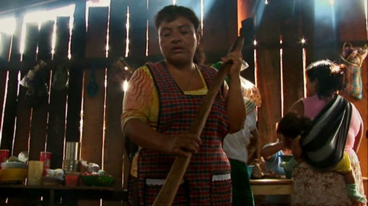 Después del Zapatismo