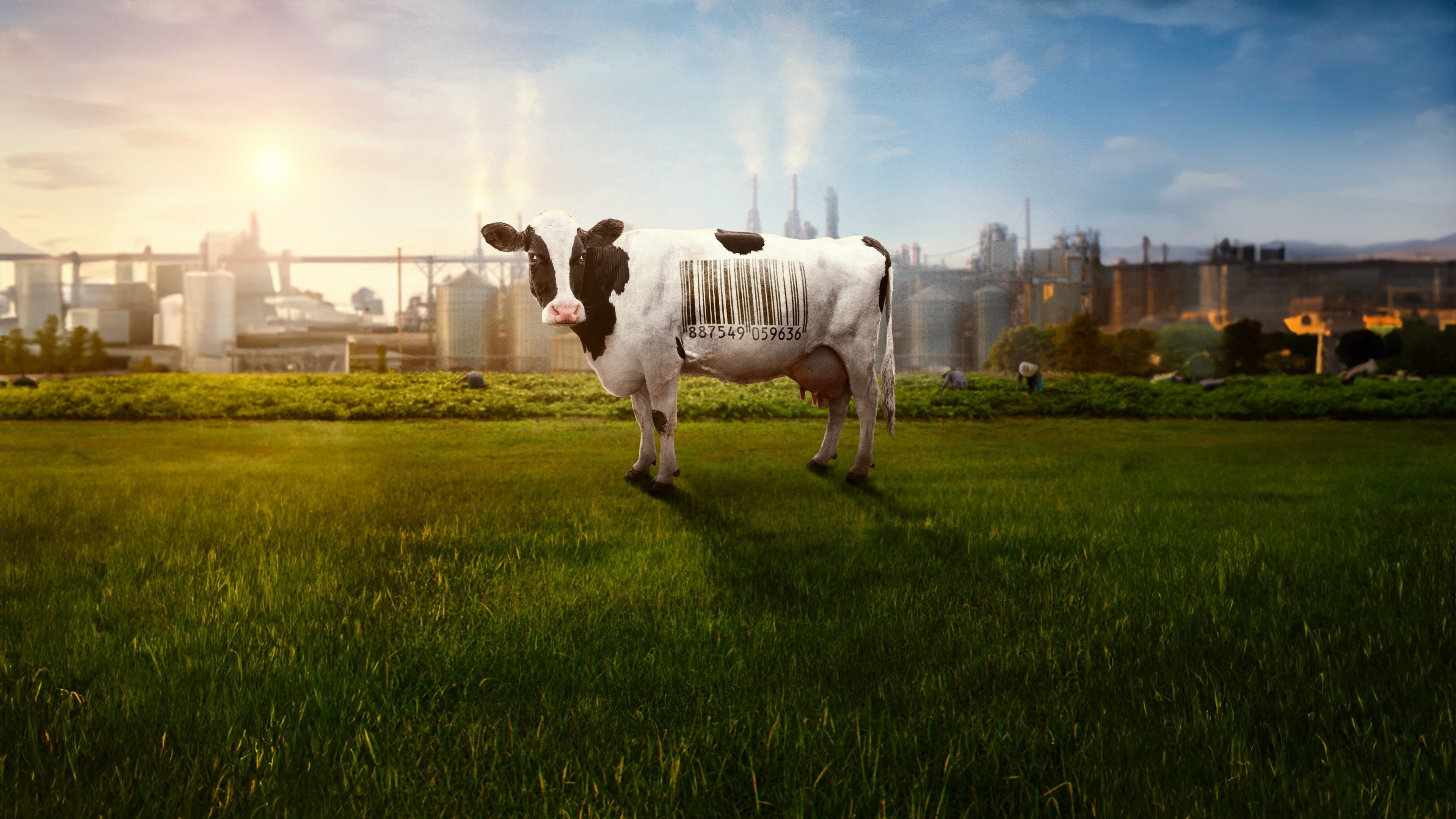 푸드 주식회사 2