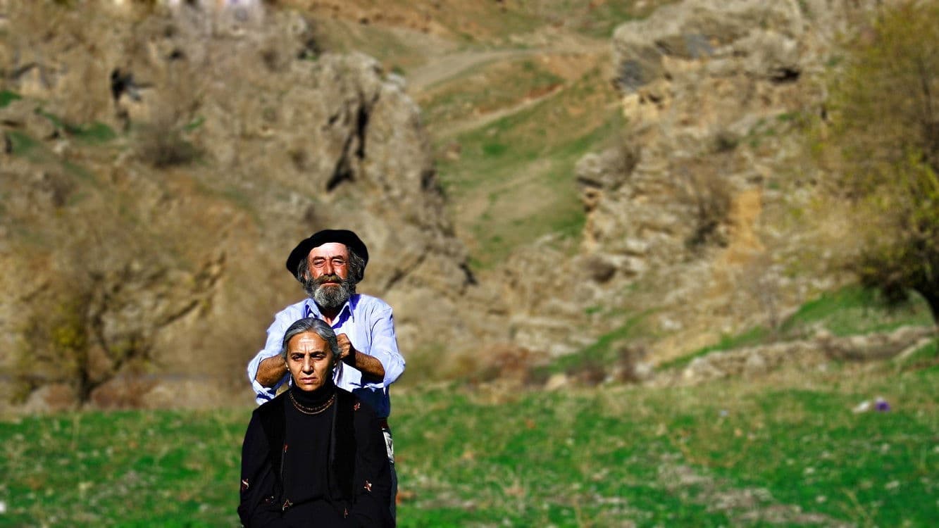 سرتە لەگەڵ با