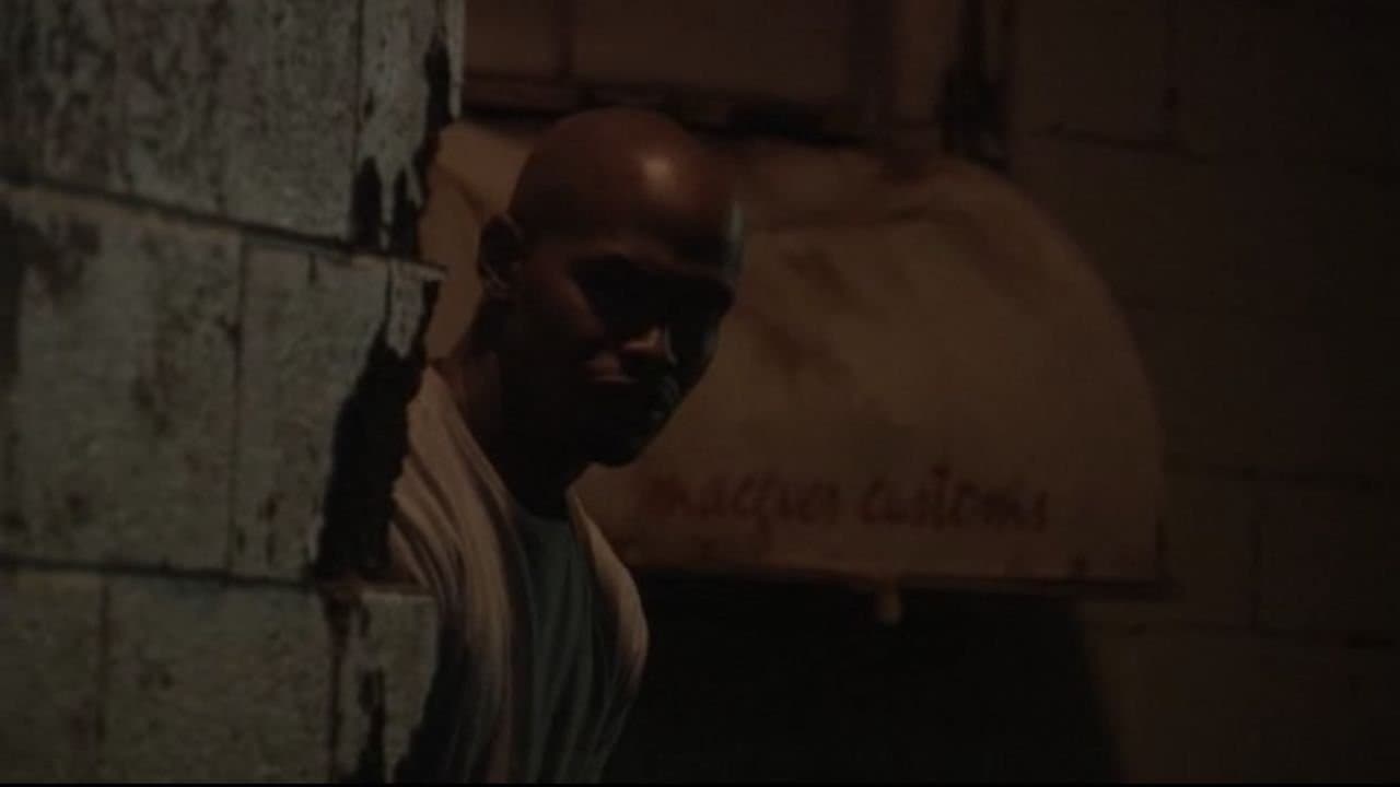 코트 인 더 크로스파이어