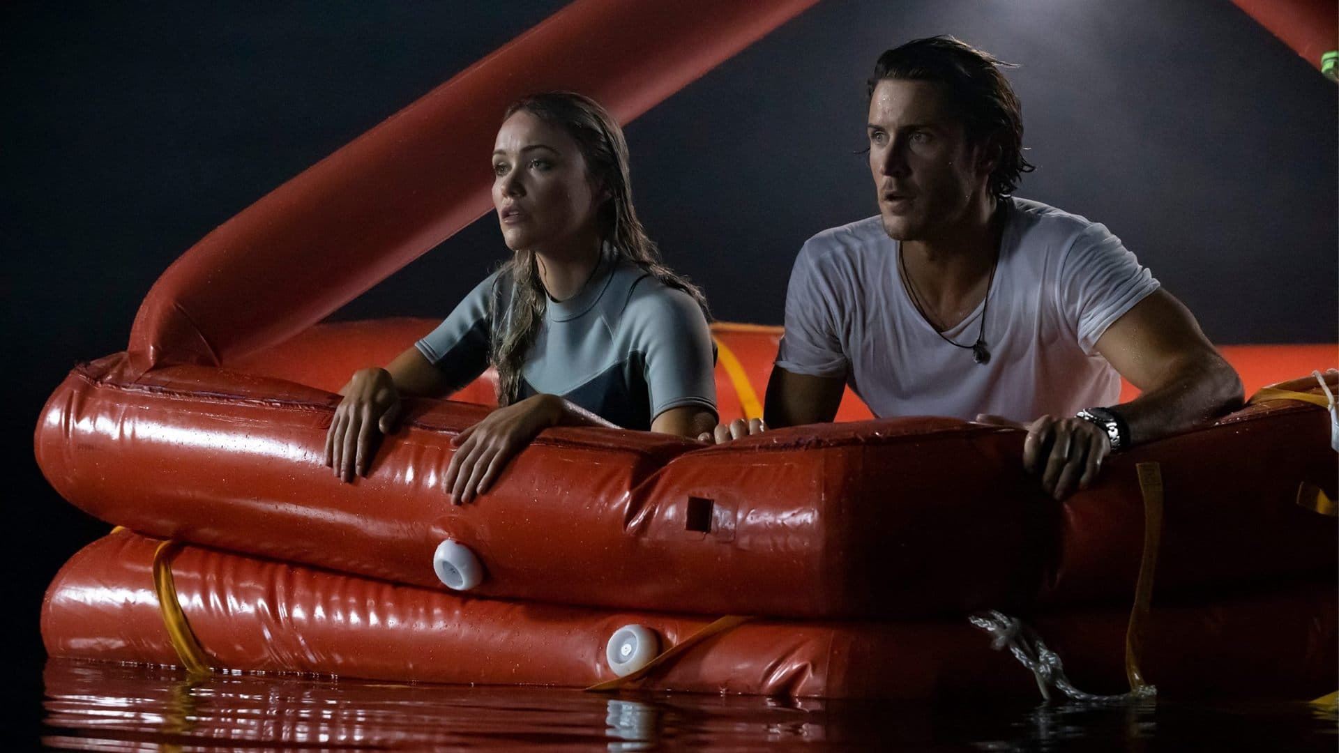 더 그레이트 샤크