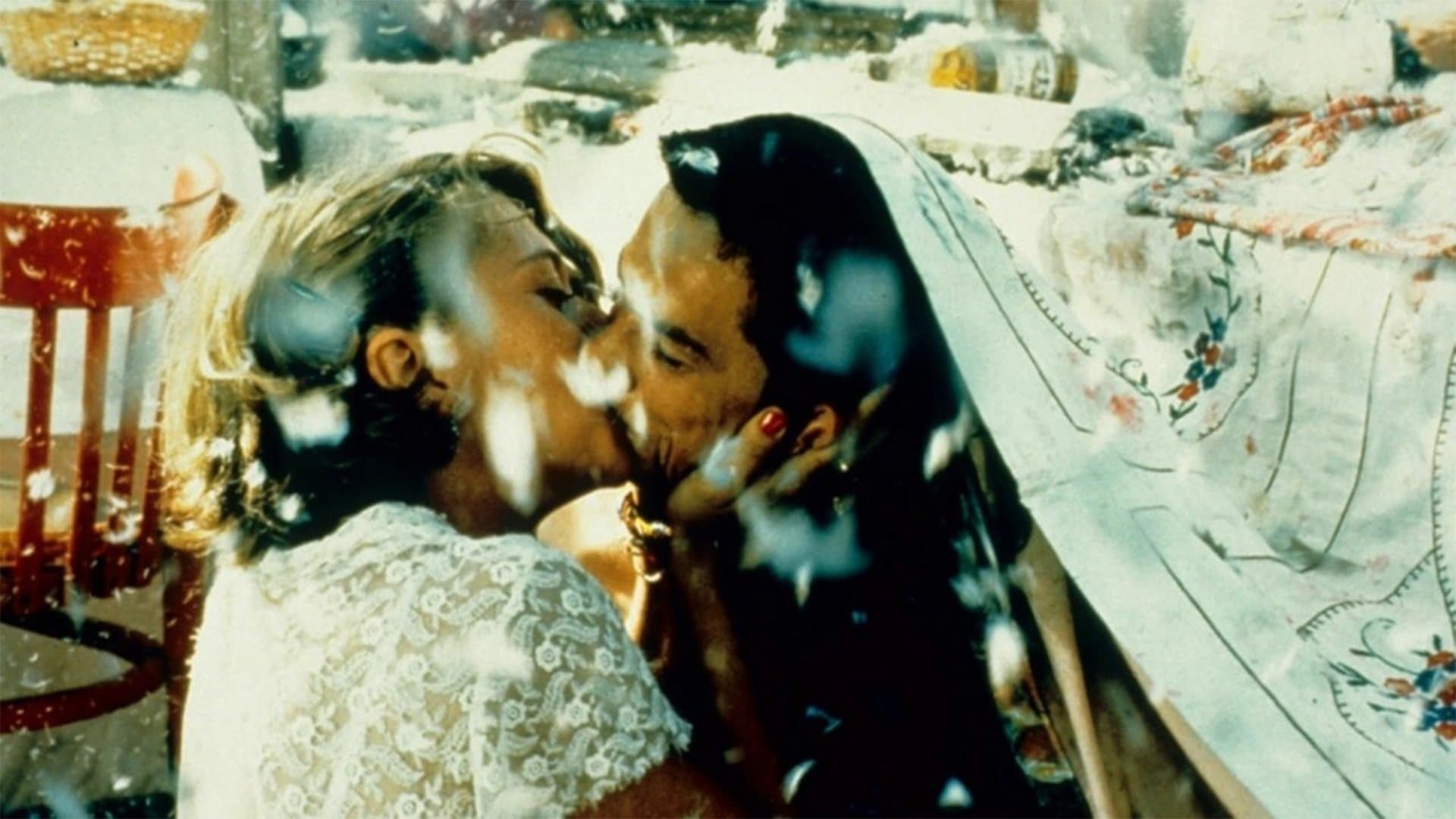 검은 고양이 흰 고양이