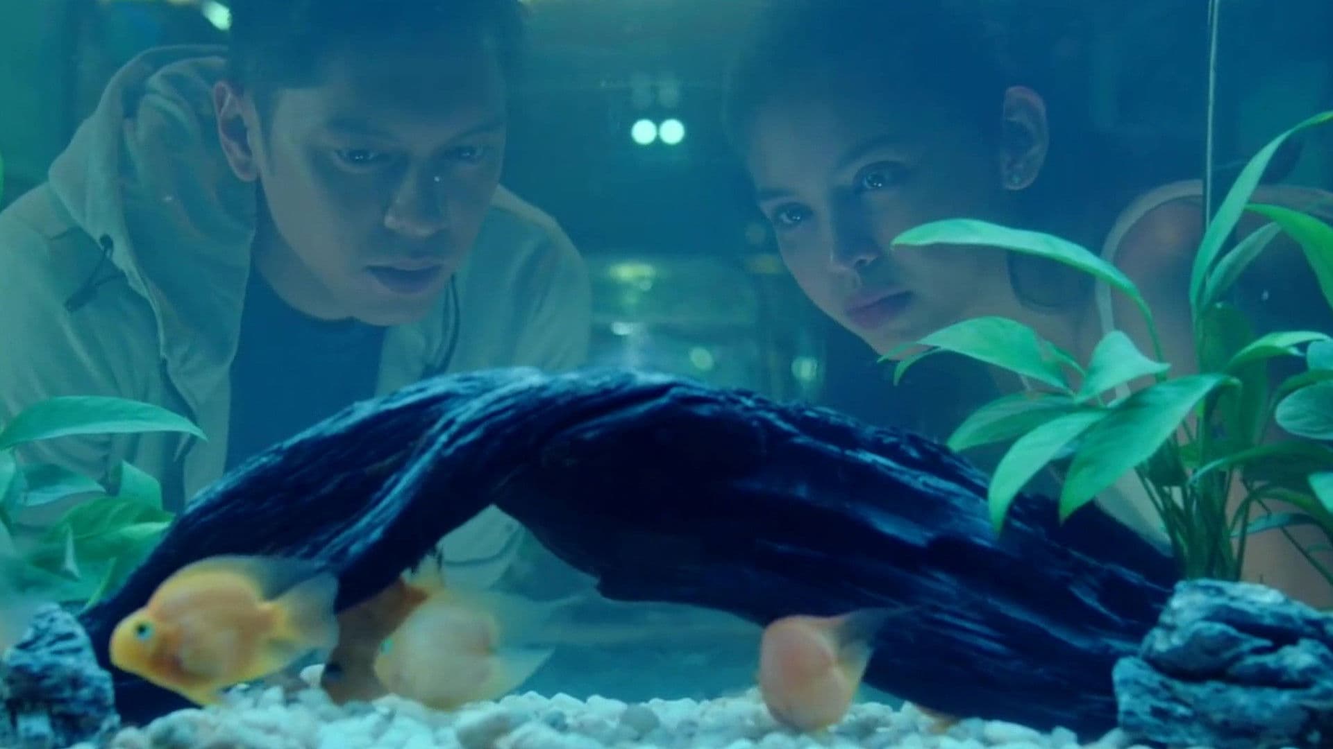 사랑이 들리시나요?