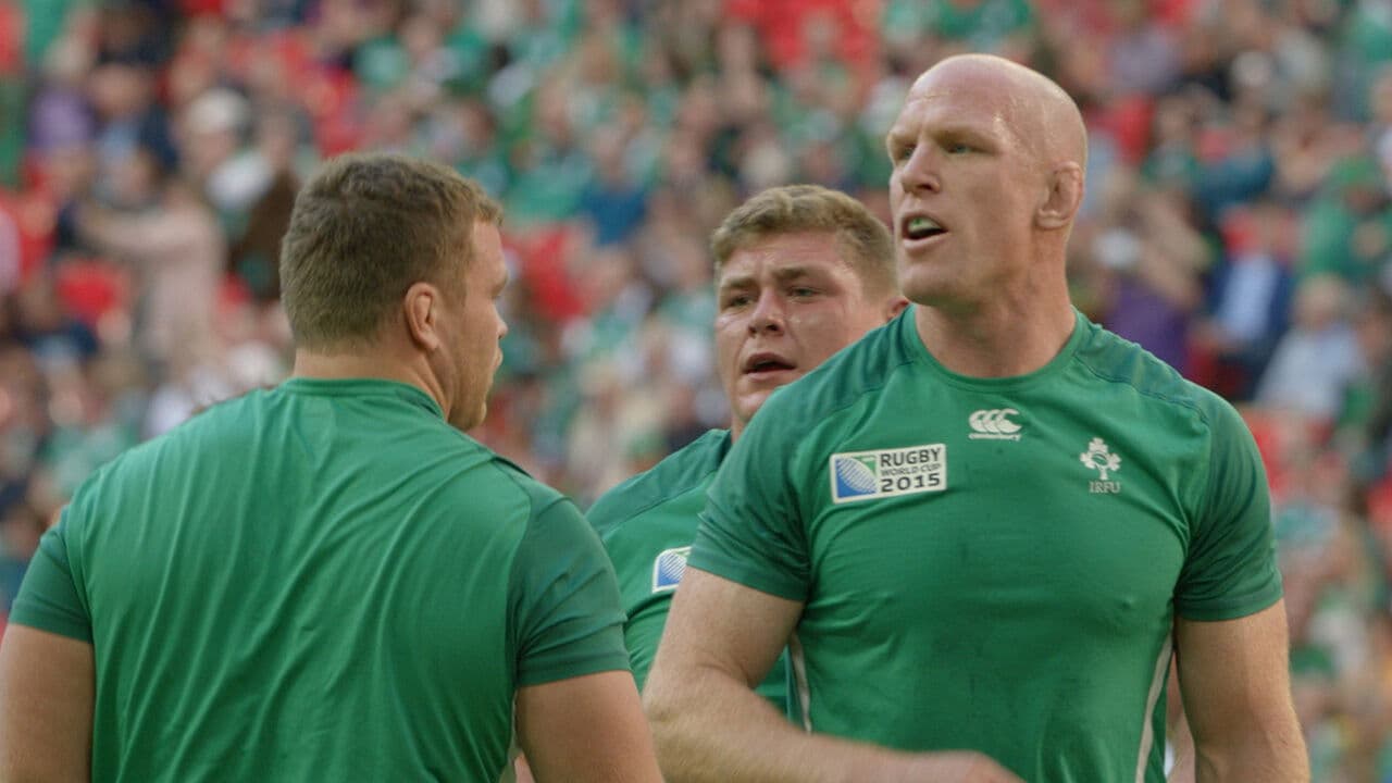 비욘드 더 트라이라인