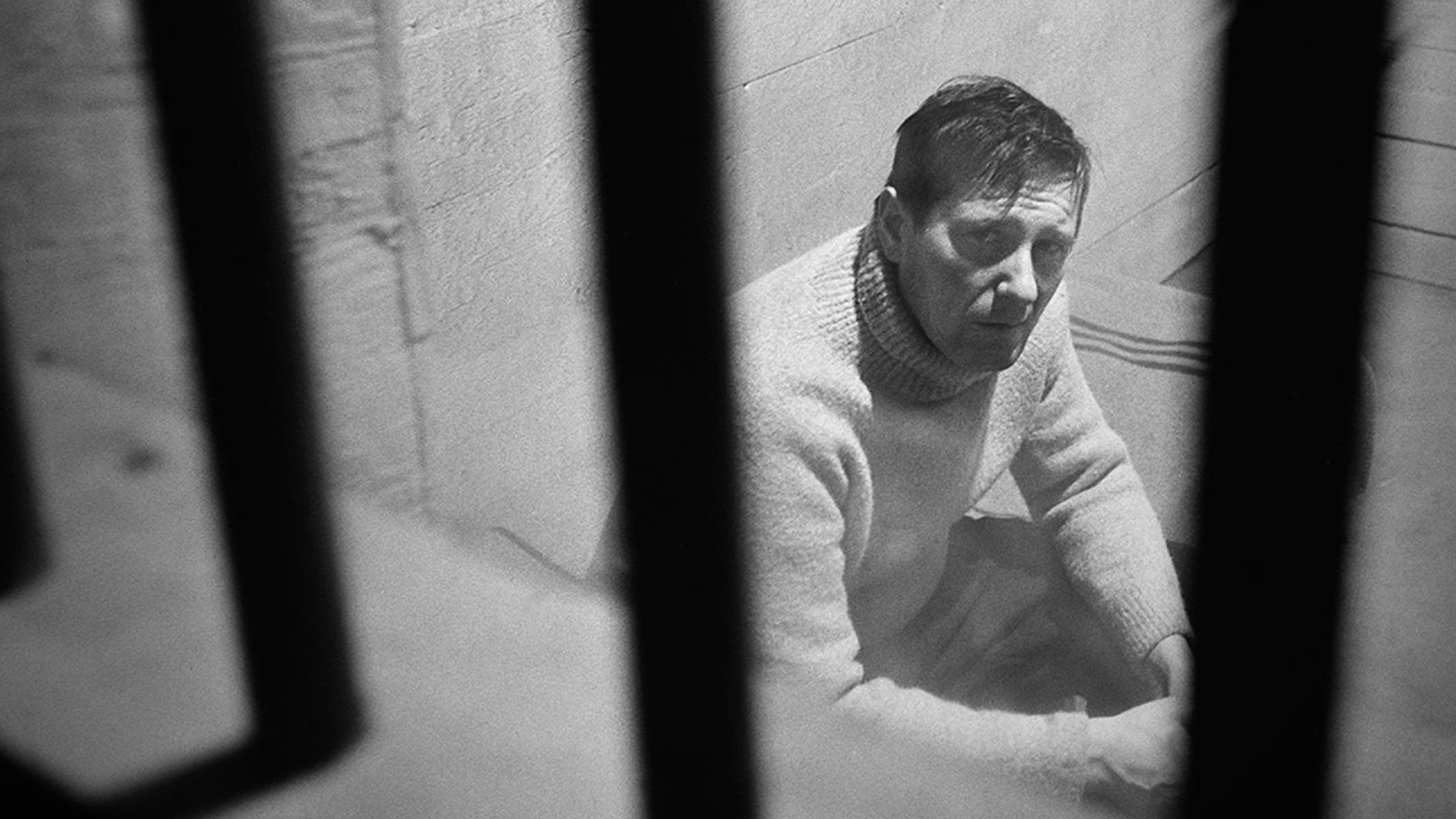 에잇 데들리 샷