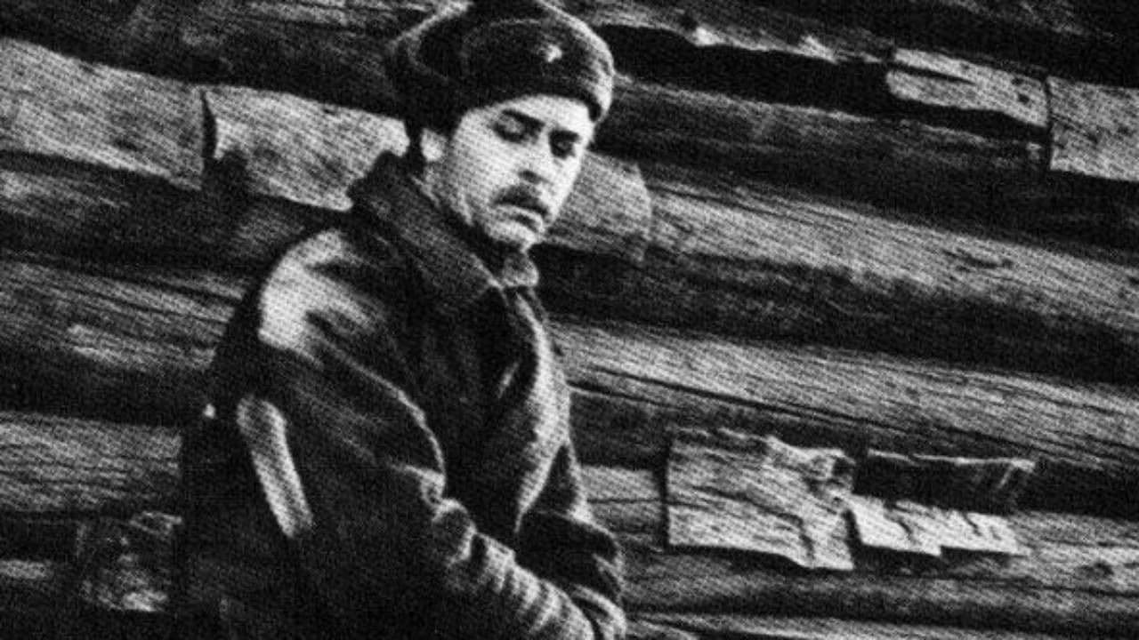 Житейское дело