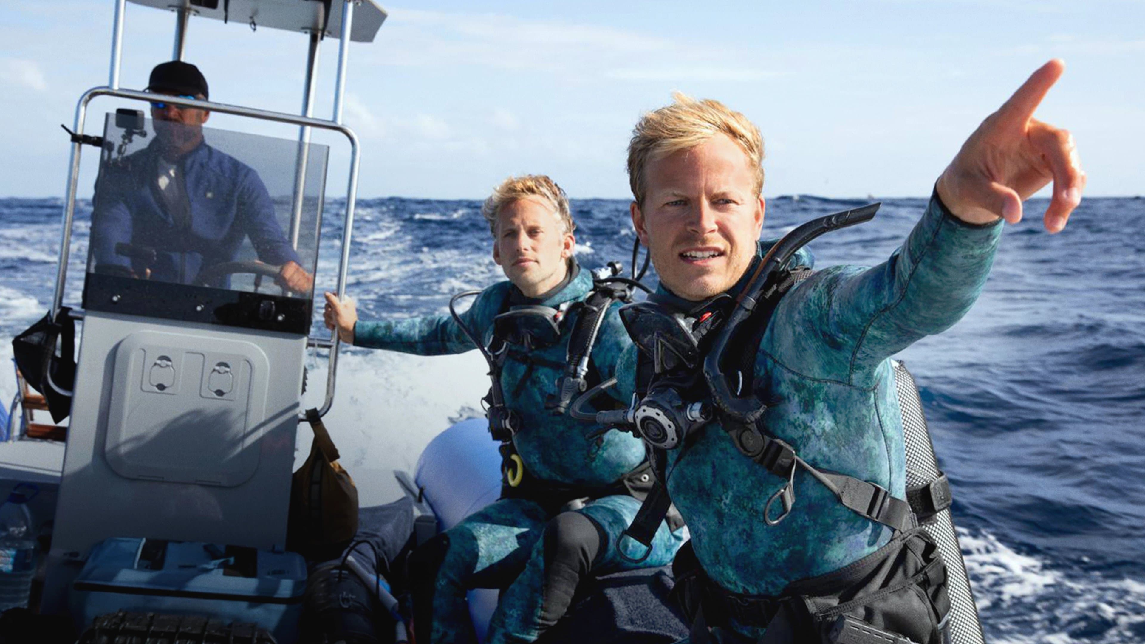 버티 그레고리의 돌고래 클로즈 업