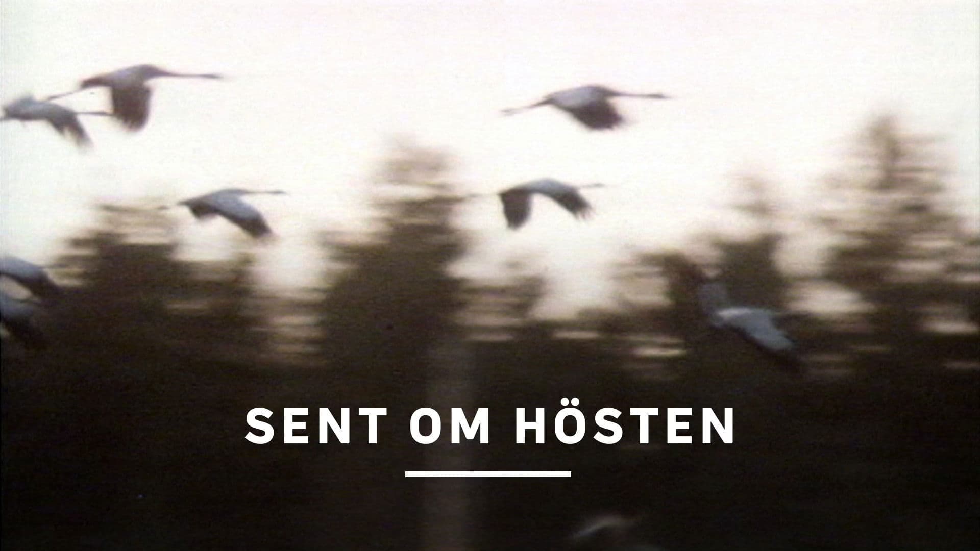 Sent om hösten
