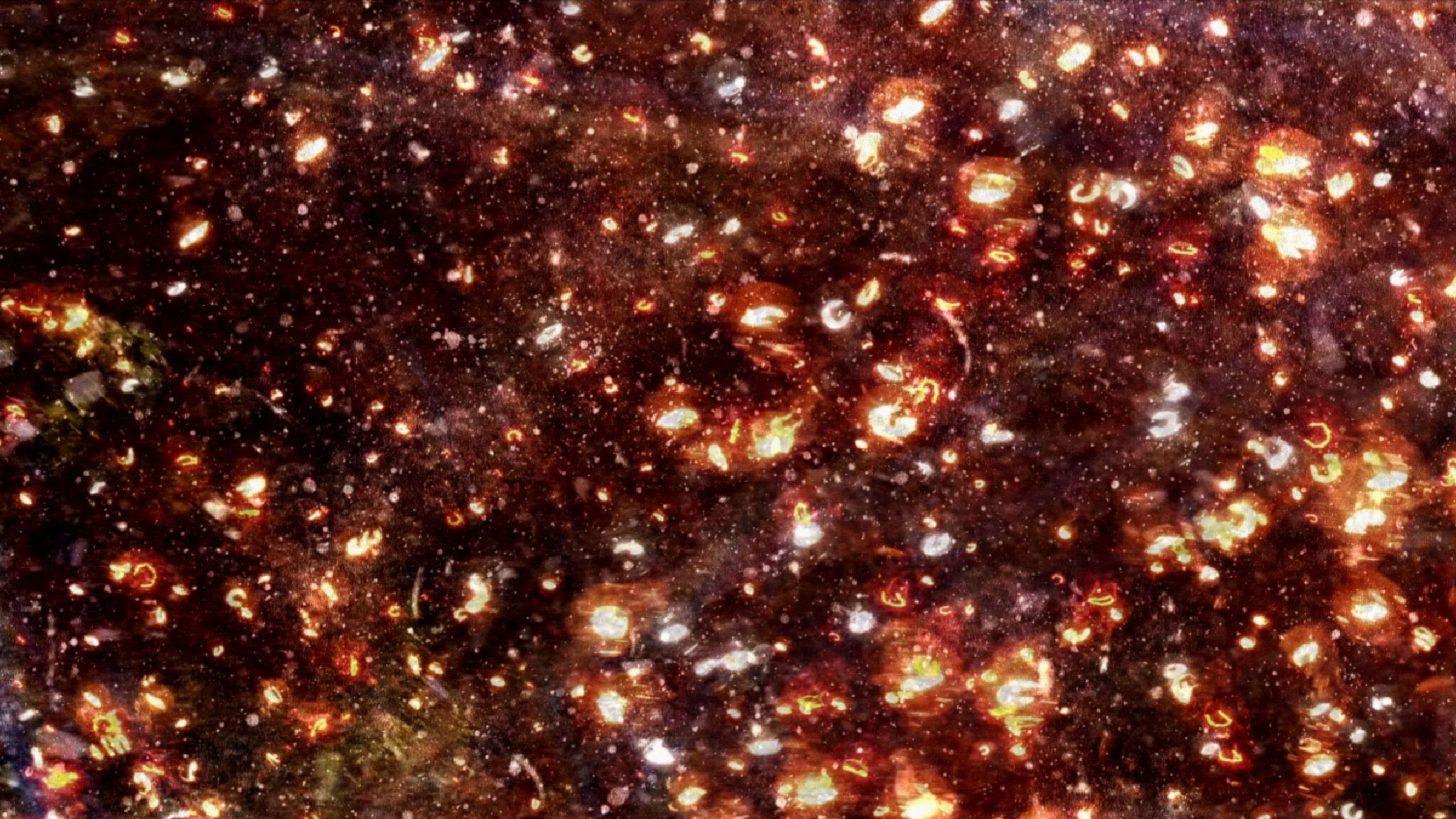 The Picture from Darkness