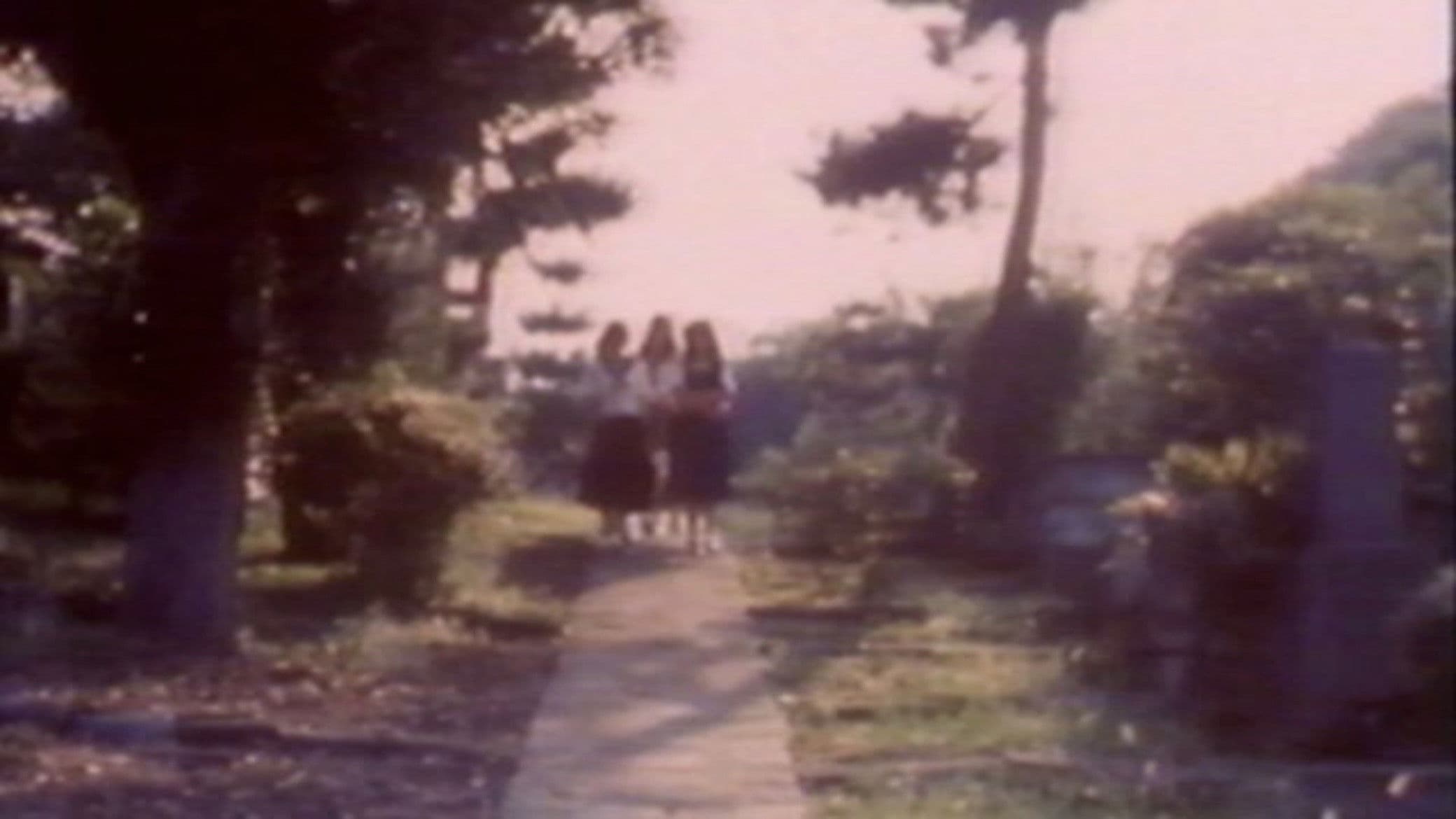 モモコワンダーランド　ストレンジハウス