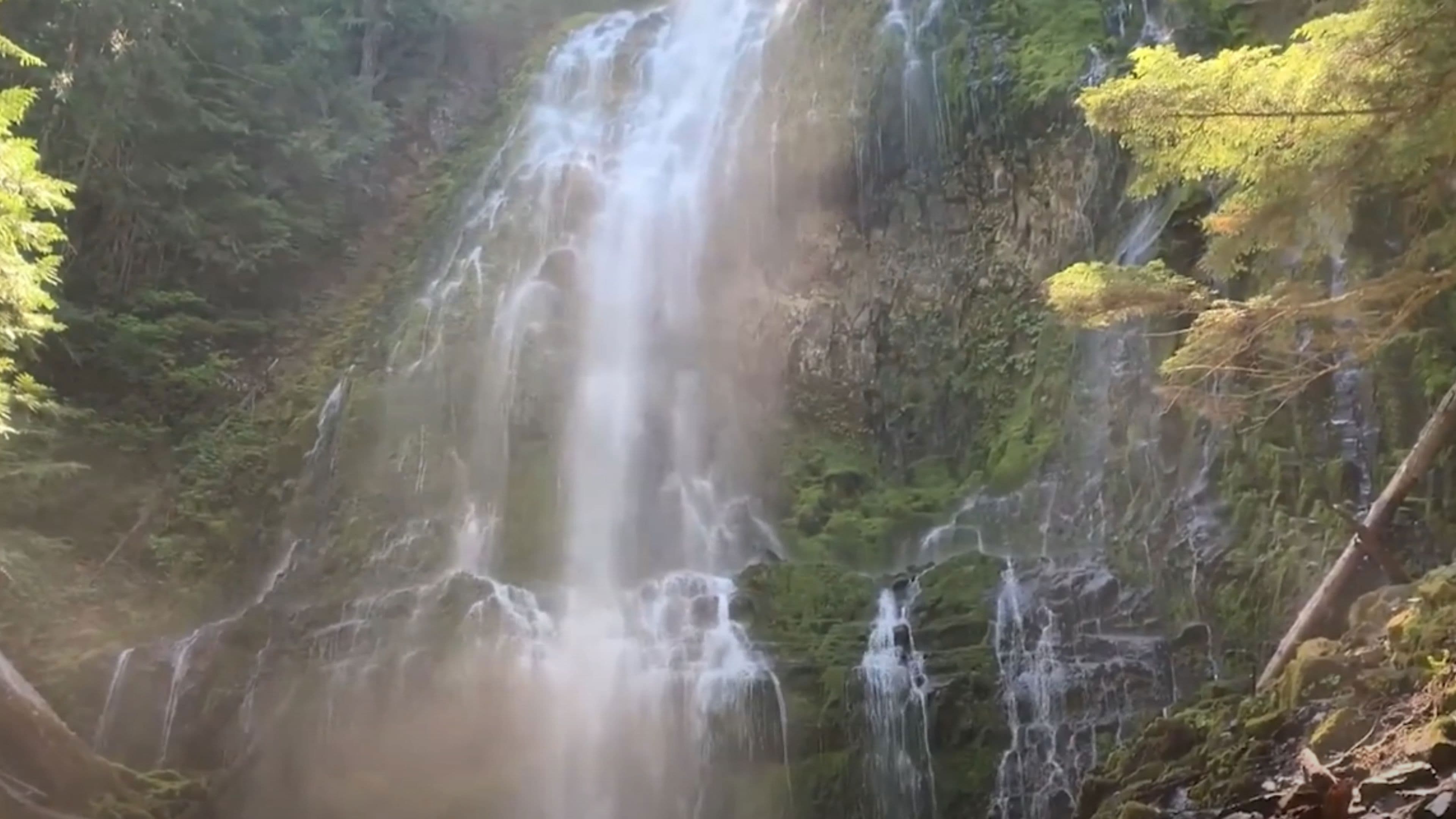 The Oneiric Cathedral