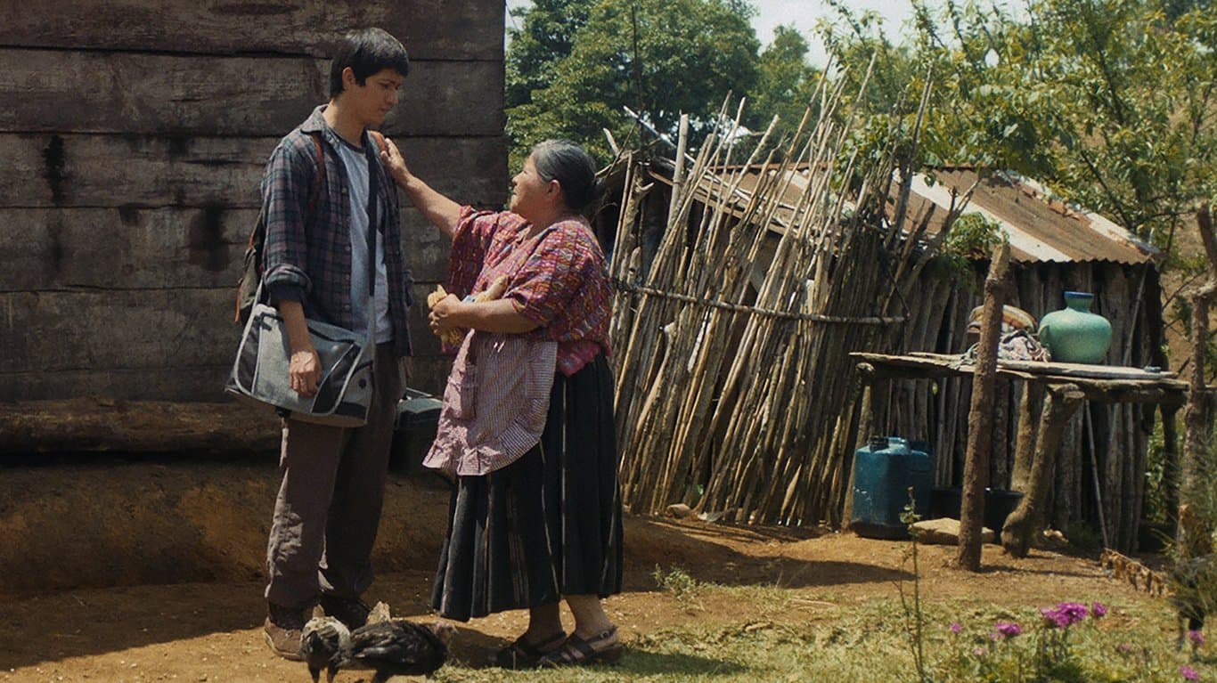 나의 어머니, 우리의 어머니들