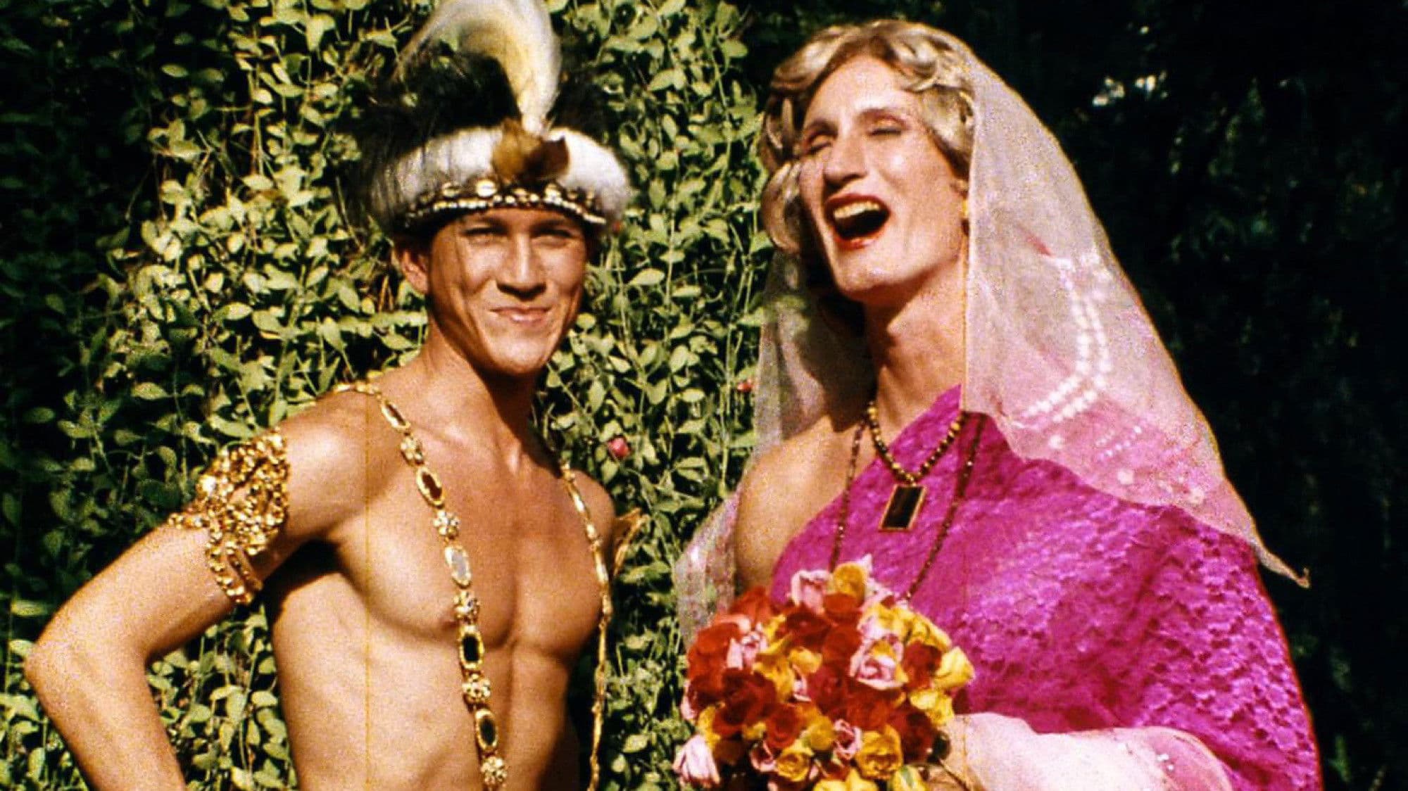 คนกราบหมา