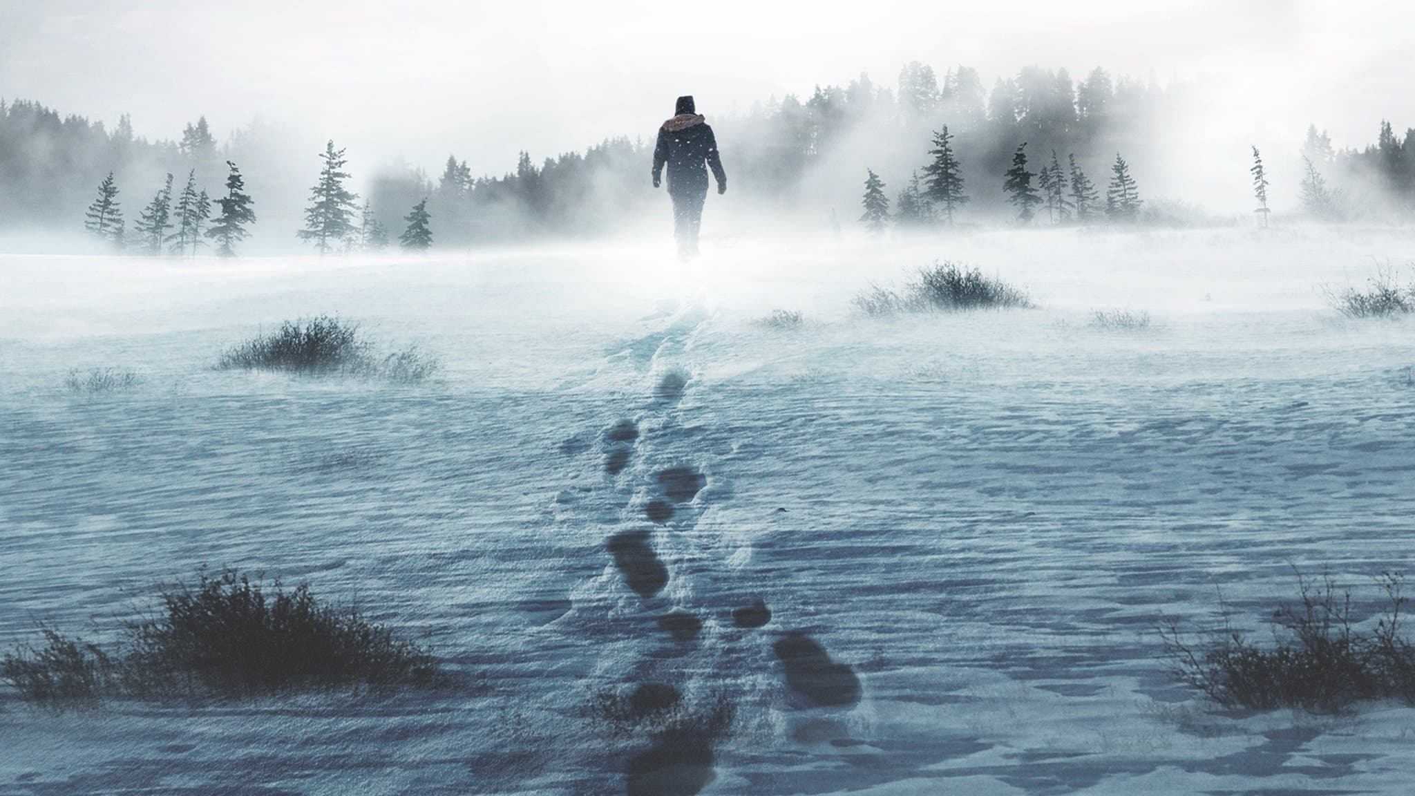 얼론: 생존게임