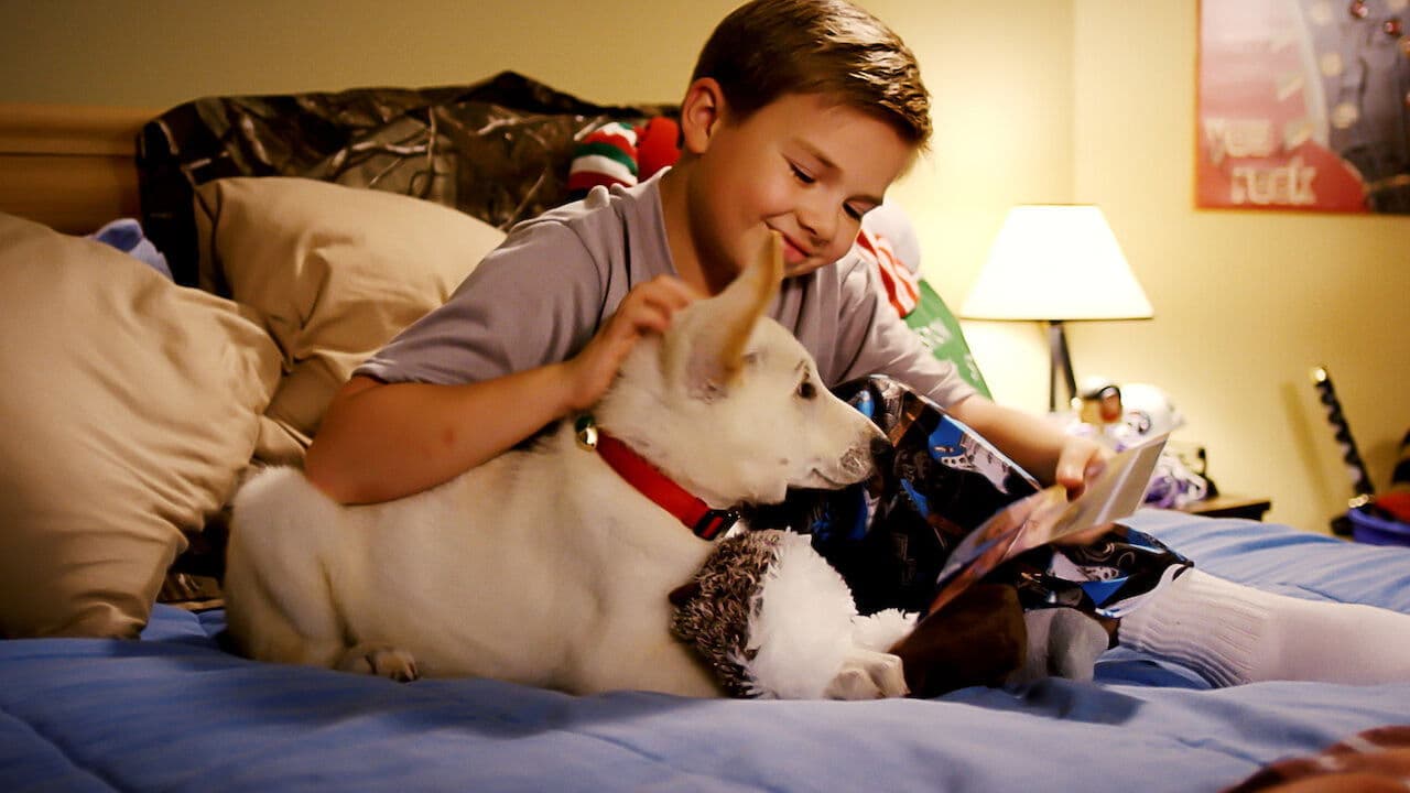 어 벨 포 크리스마스