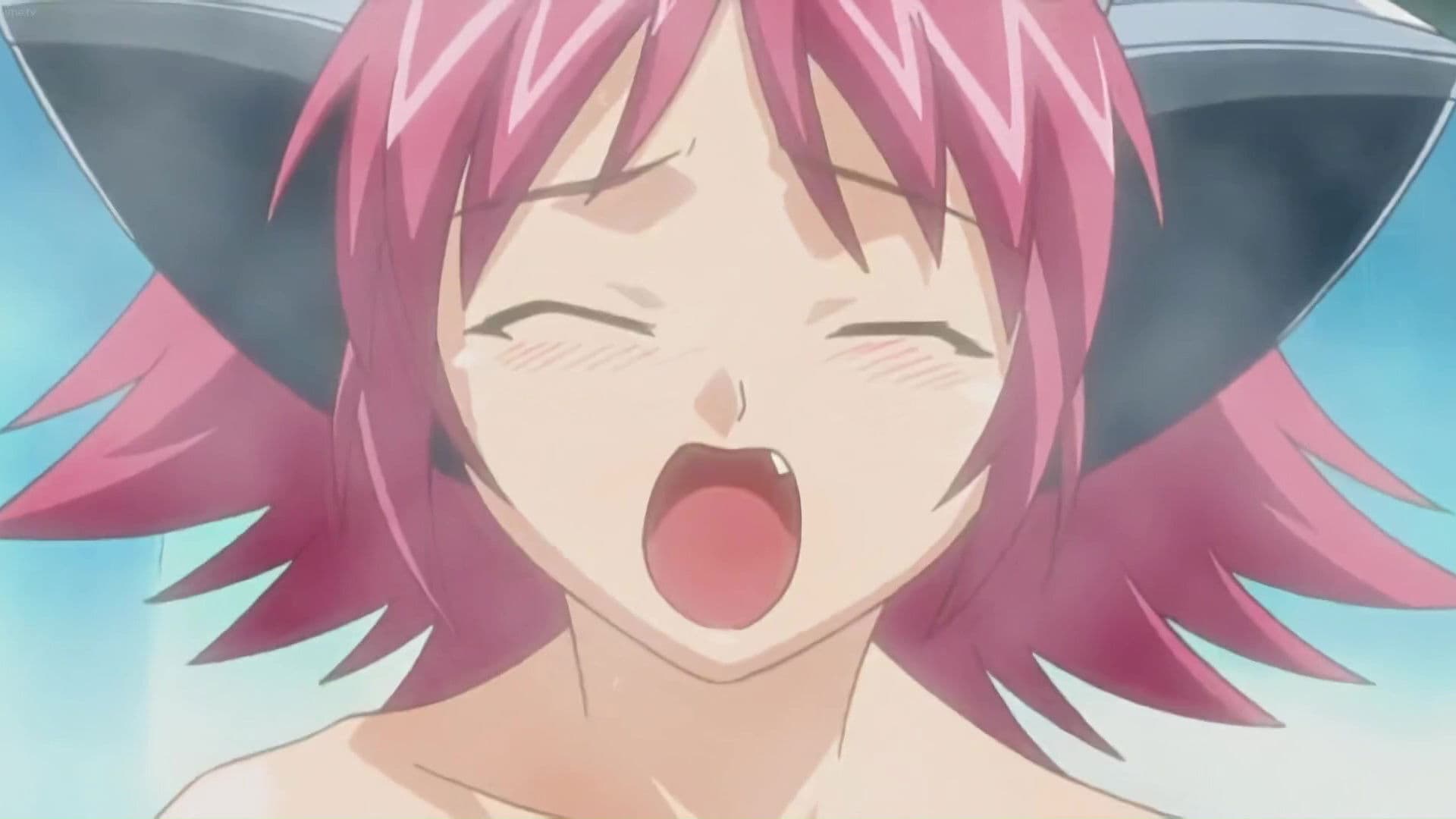 내 사랑 아리사