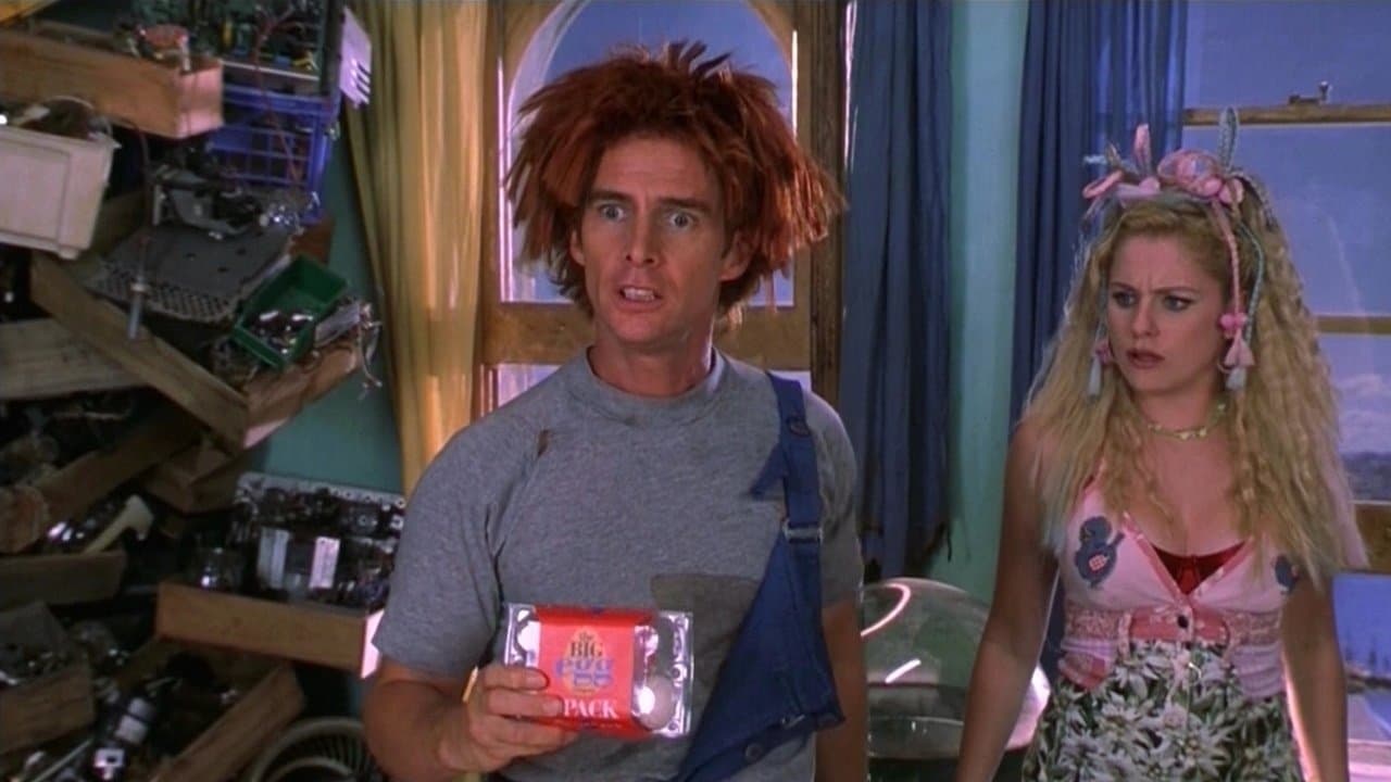 미스터 엑시던트