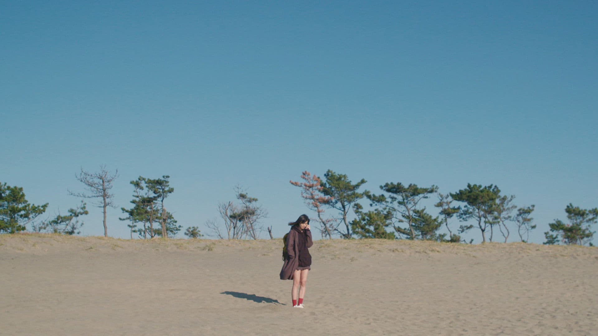 아자미의 모든 것