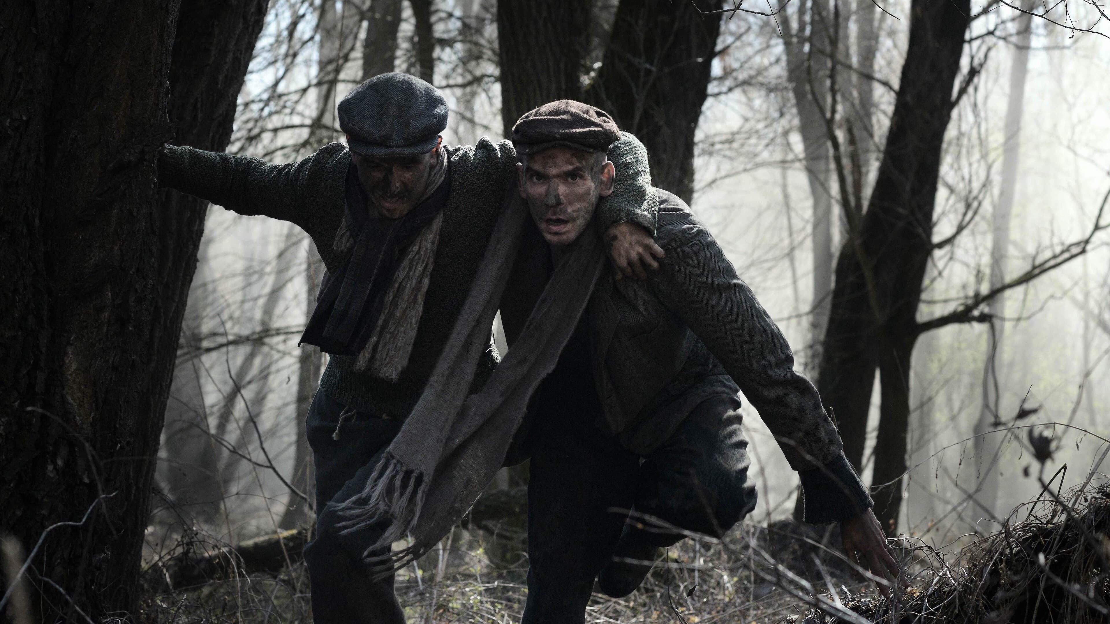 아우슈비츠 리포트