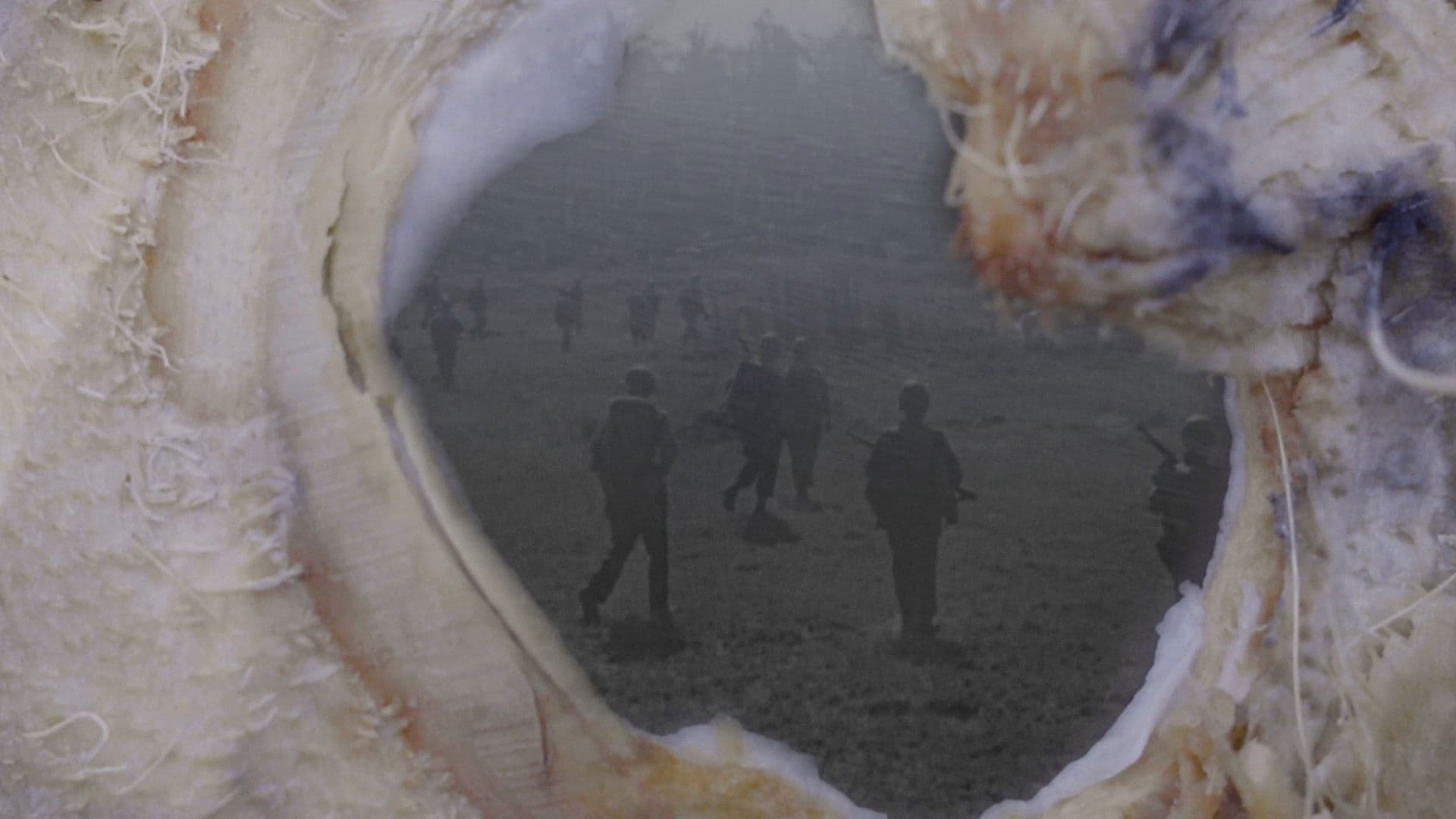 어디에도 가깝지 않은