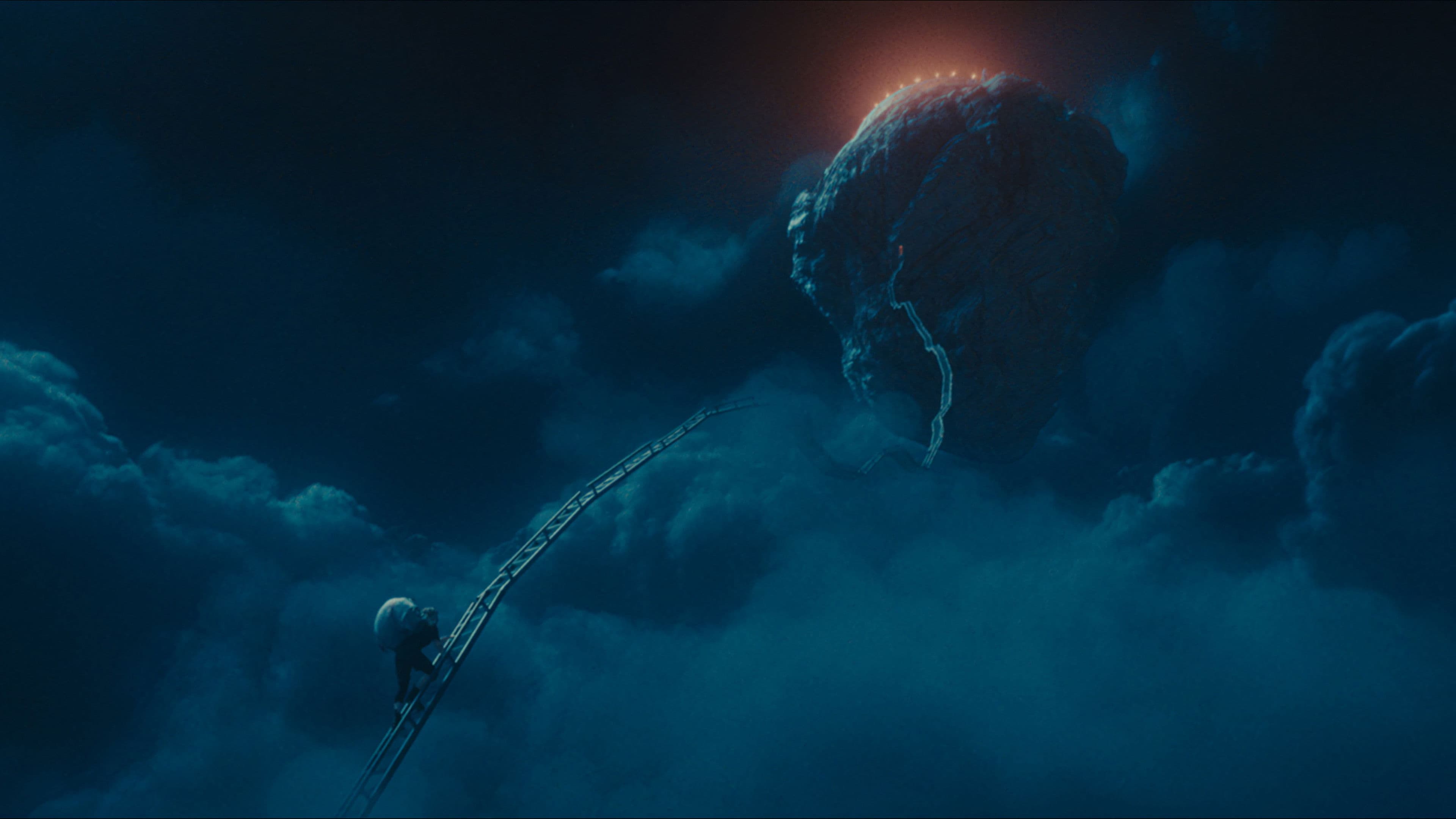 머나먼나무의 숨겨진 비밀