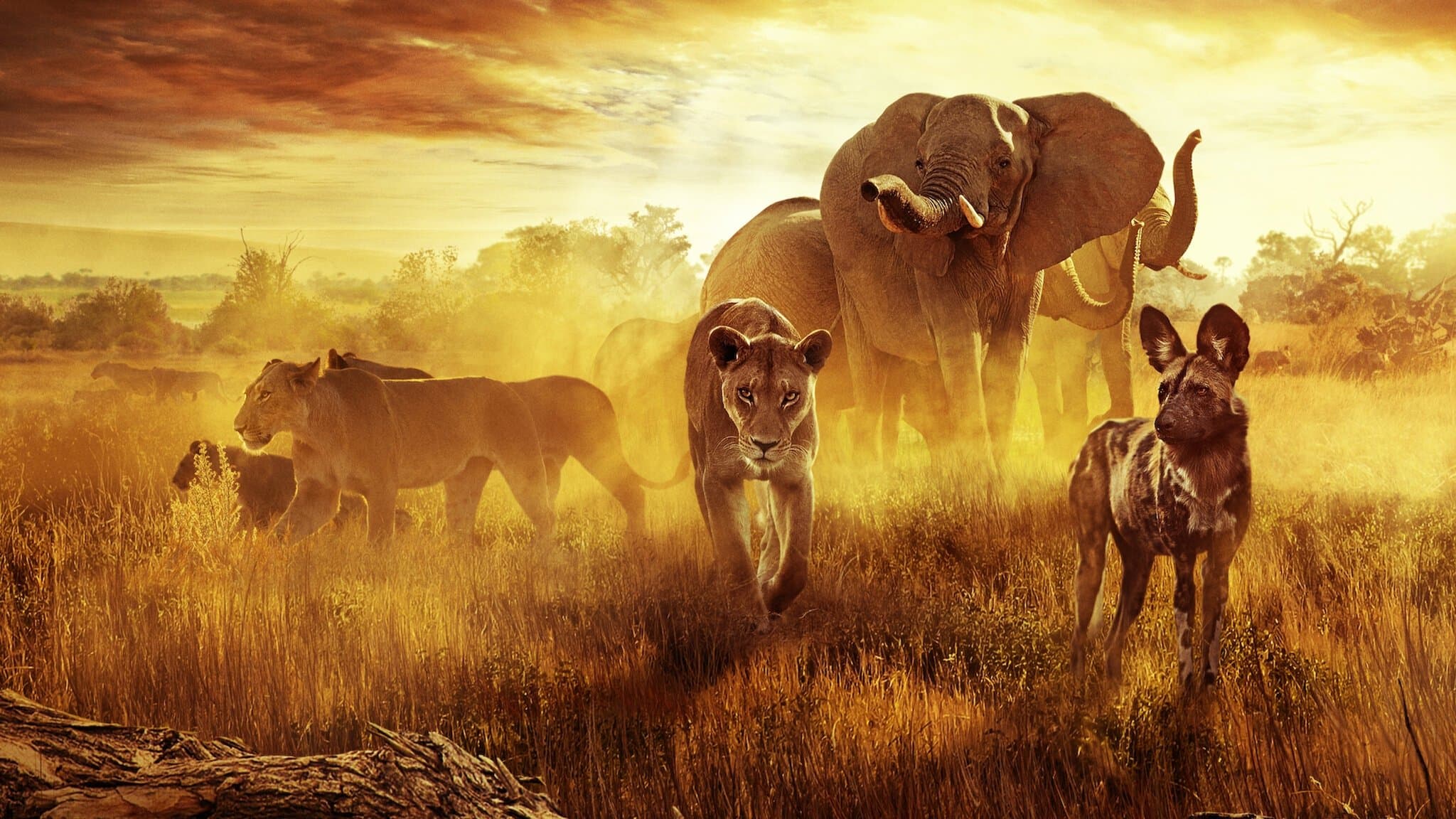 낙원에서 살아남기: 가족의 이야기