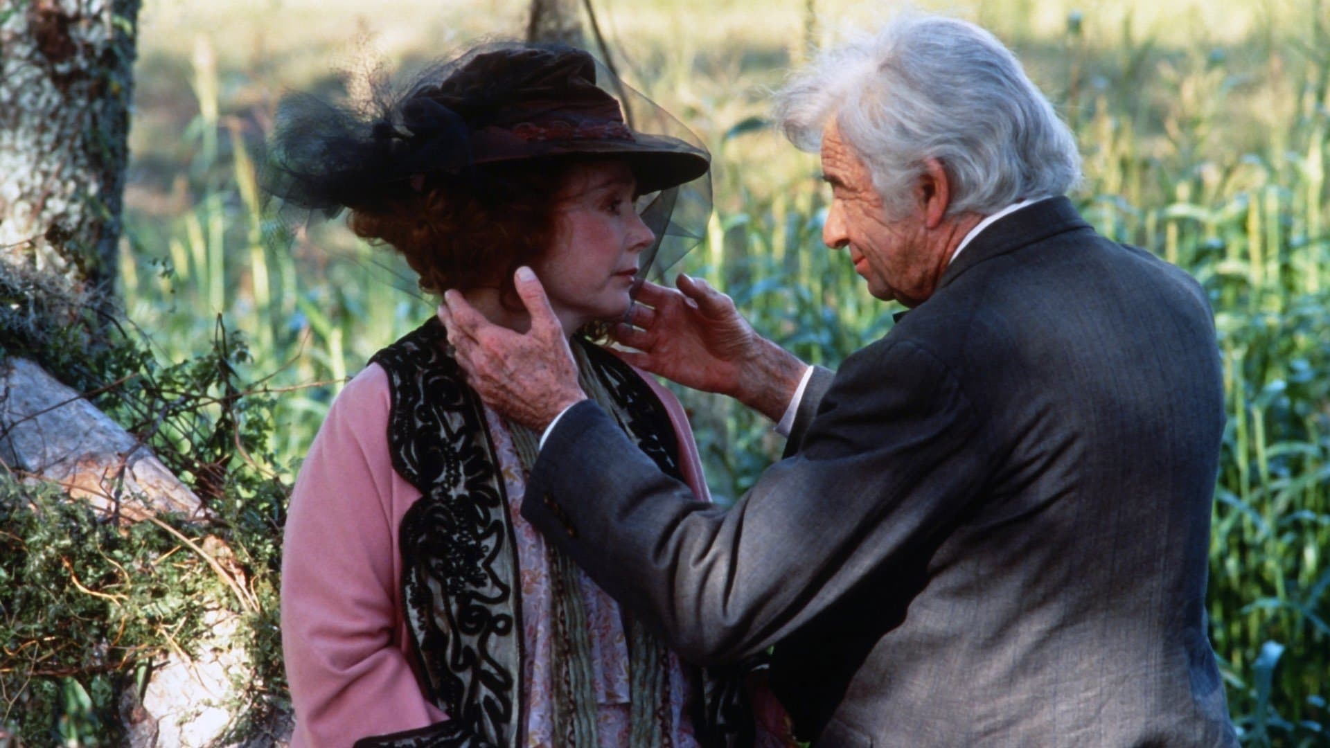 더 그래스 하프