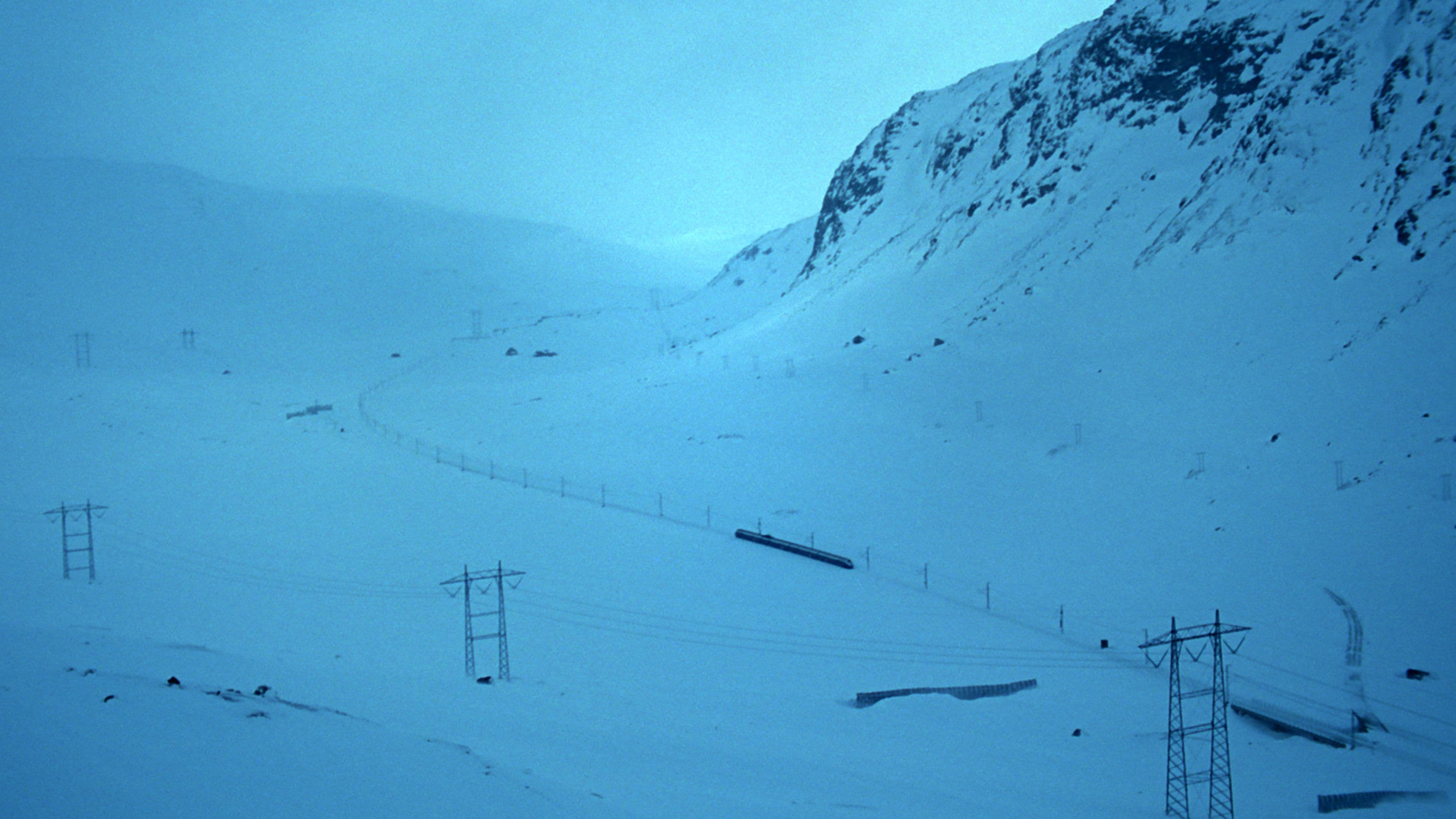 오슬로의 이상한 밤