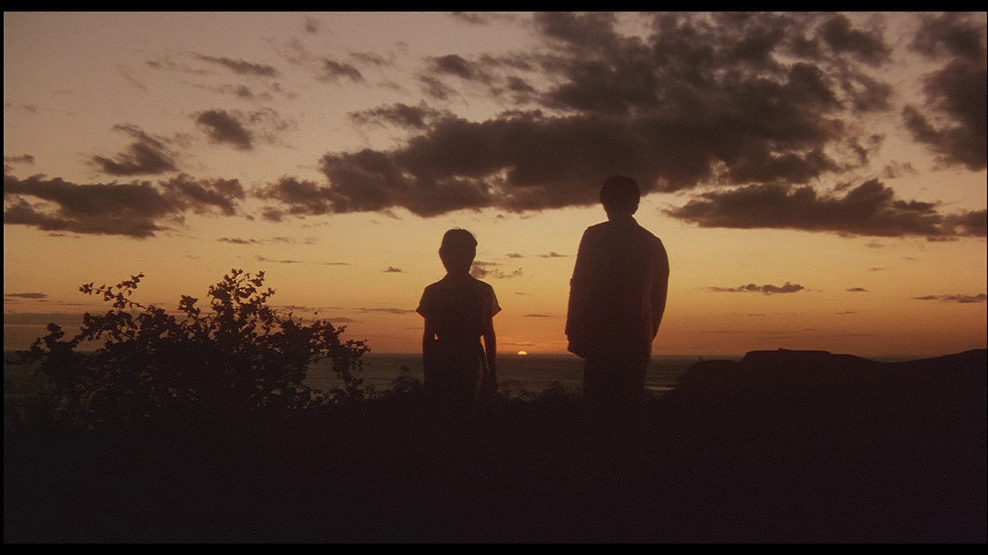 천국에서 가장 가까운 섬