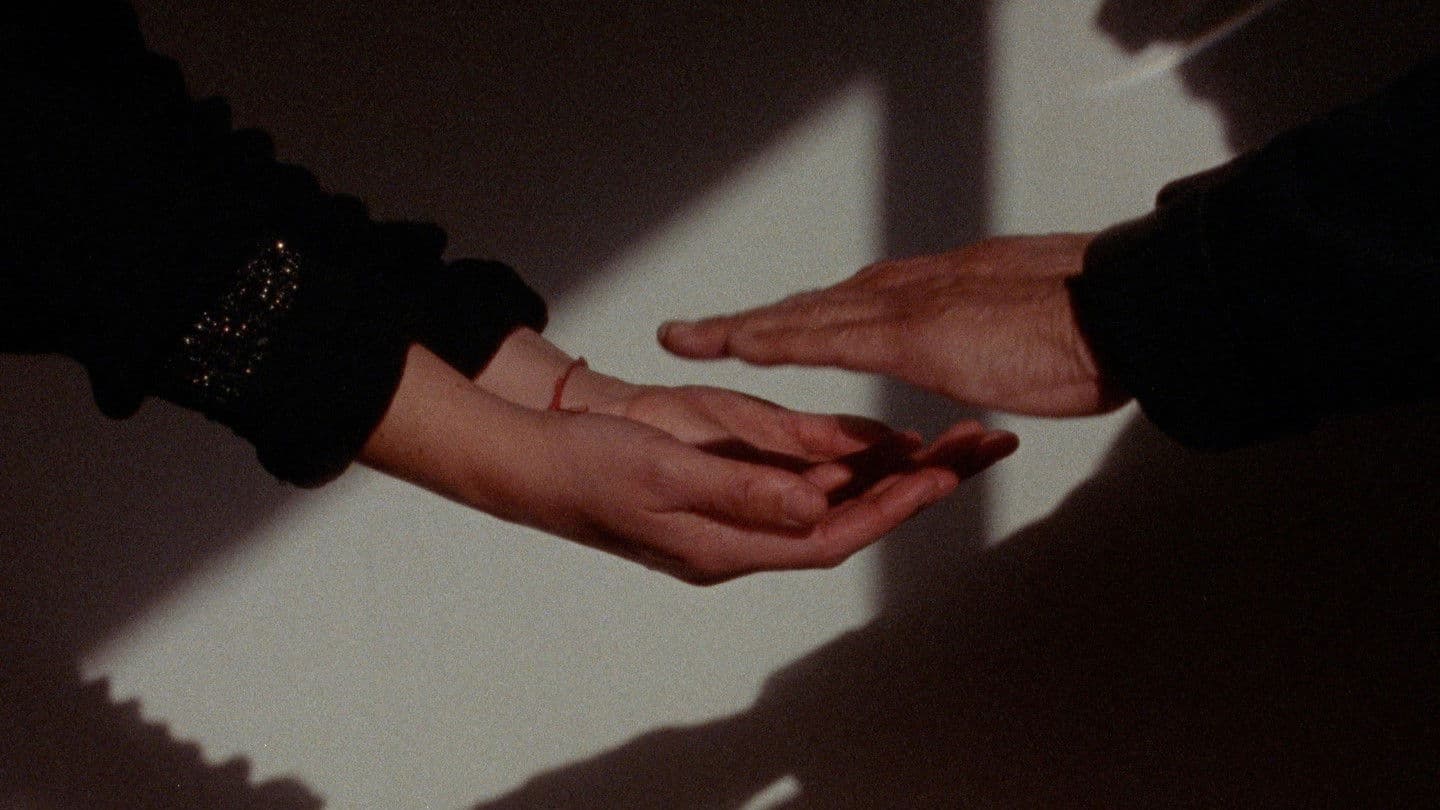 흔들리는 그림자