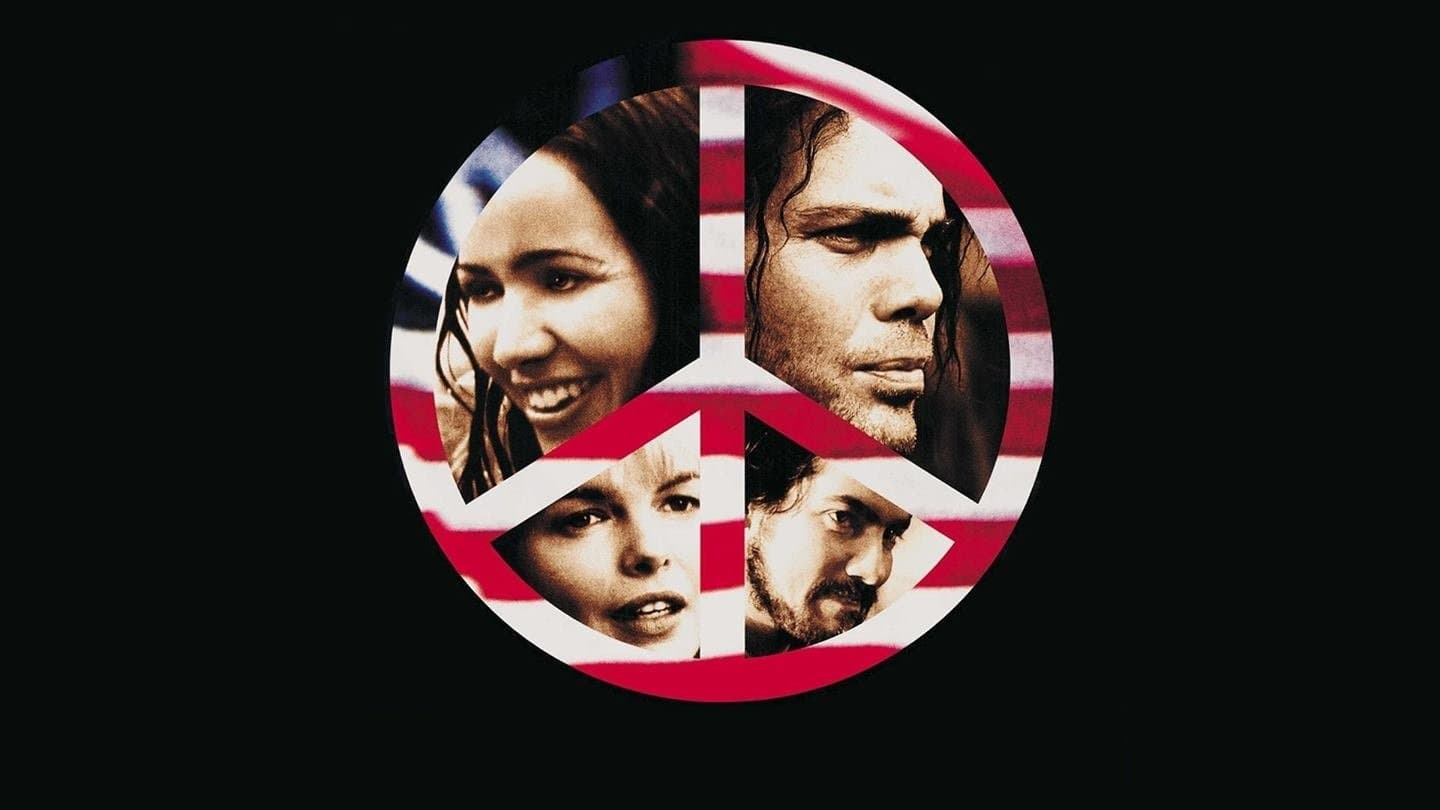 이 영화를 훔쳐라