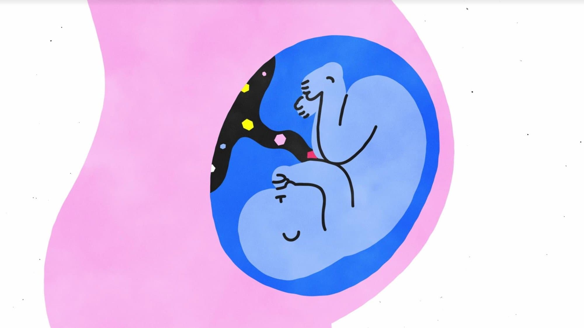 익스플레인: 섹스를 해설하다