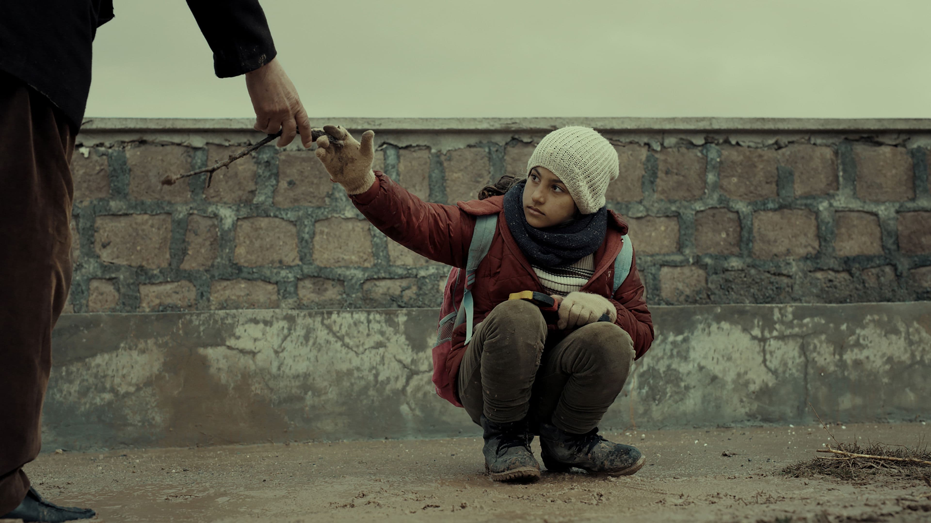 클로브와 카네이션