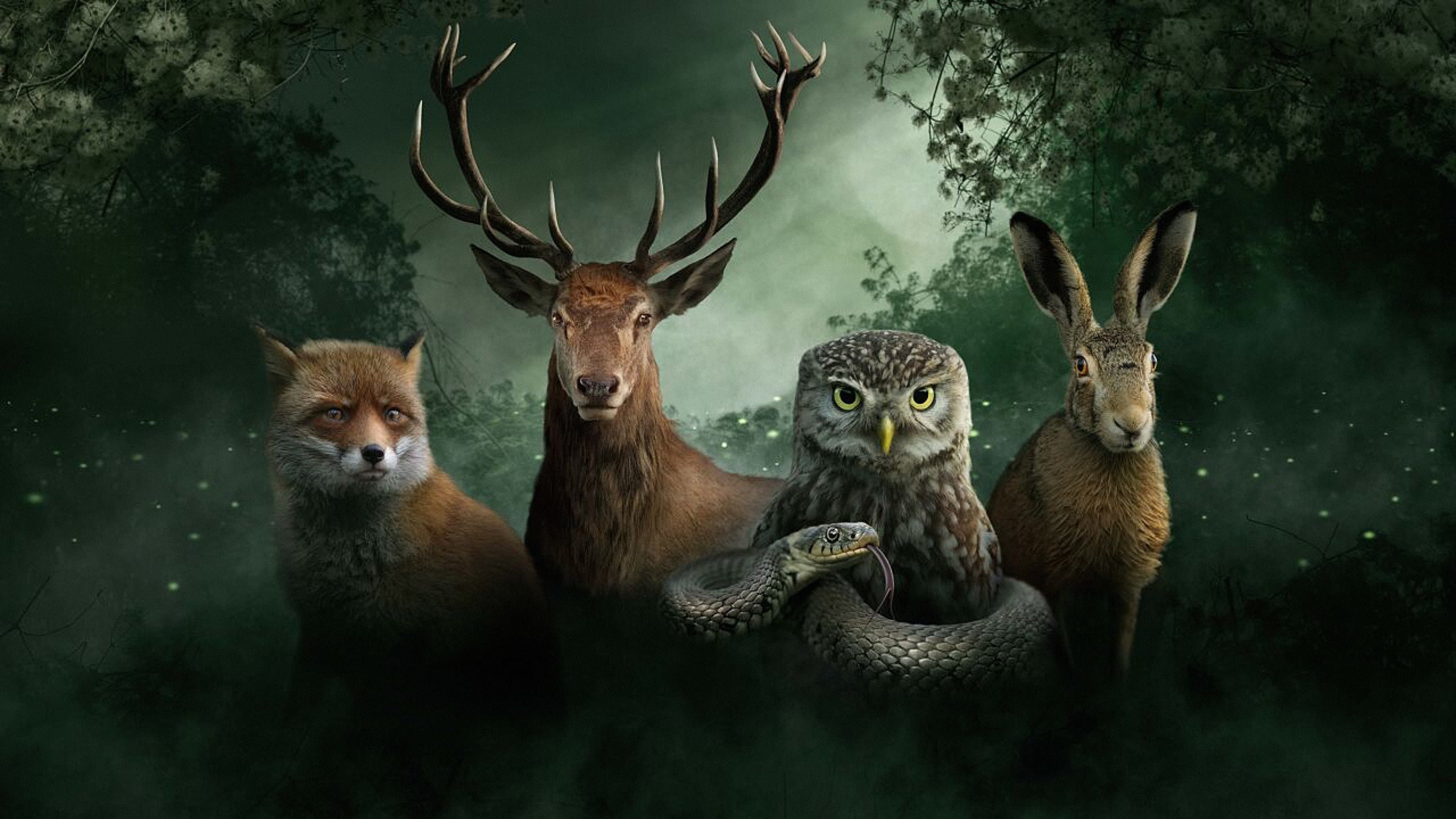 Onze Natuur, De Film