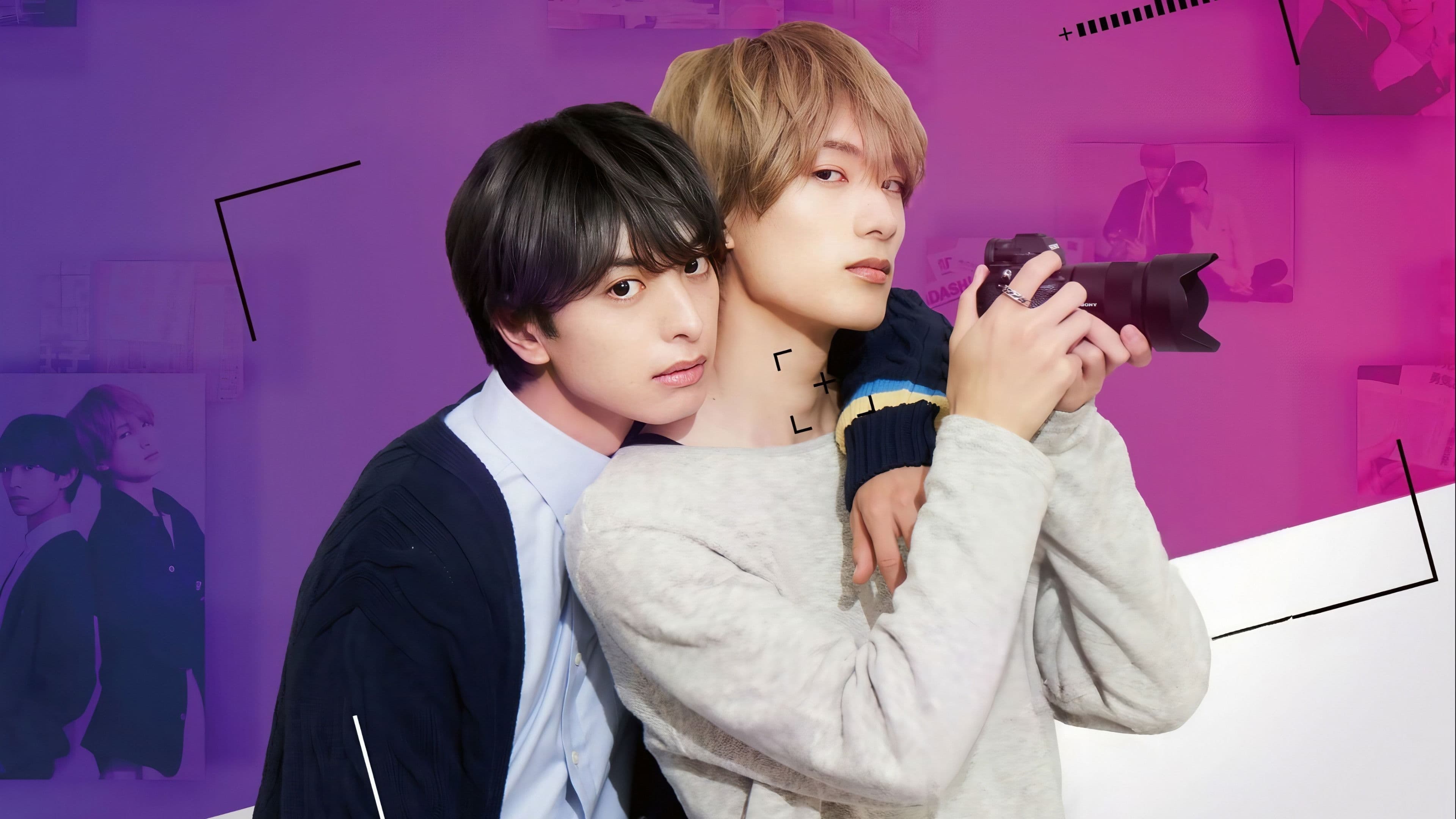 사탕빛깔 패러독스