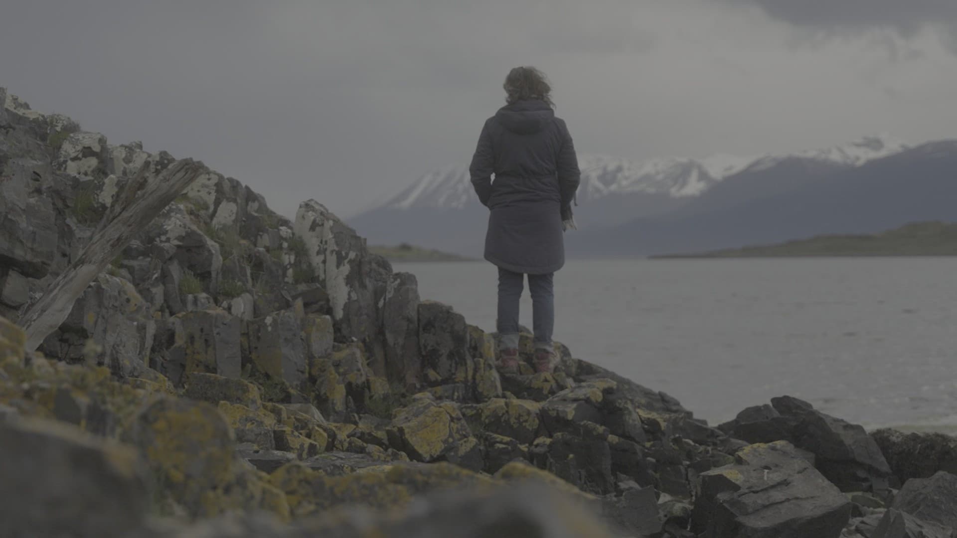 구름이 그림자를 숨길 때