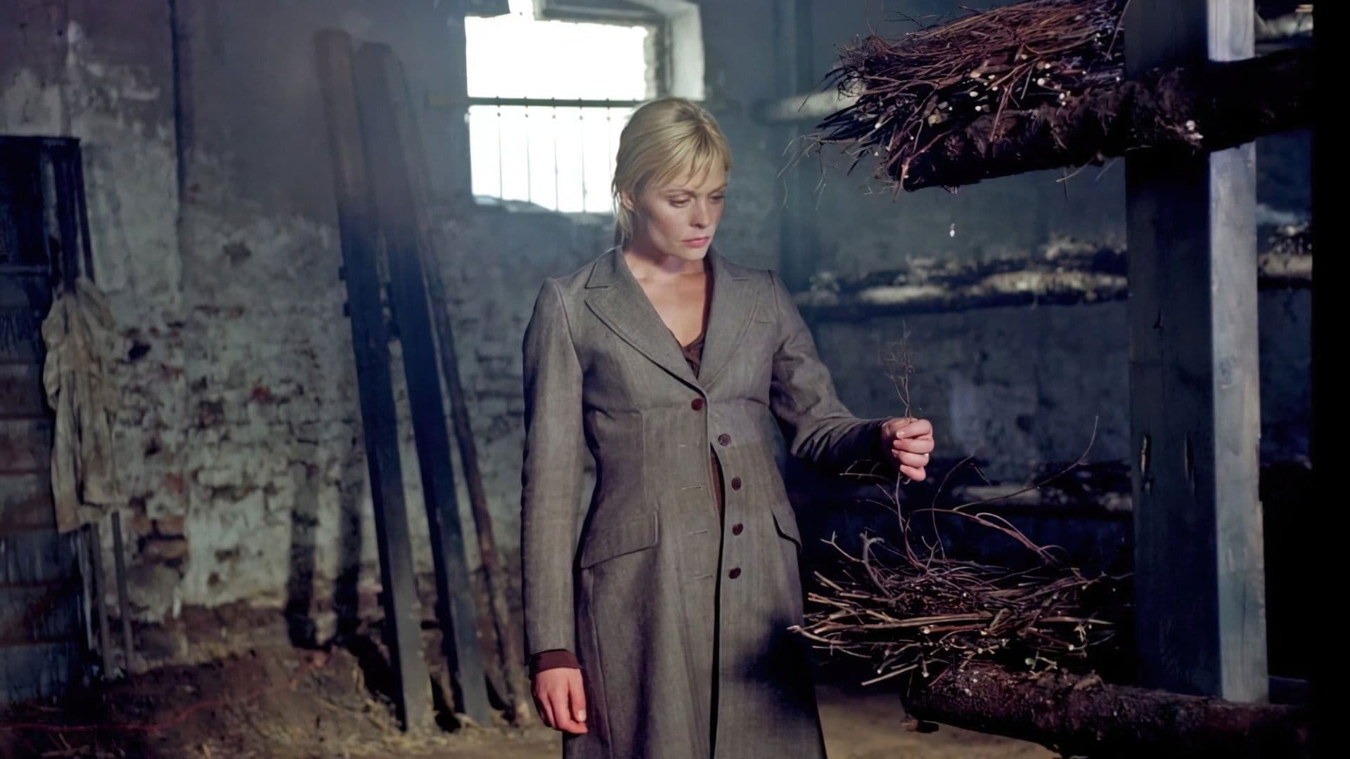 나이트워치-버드레이드