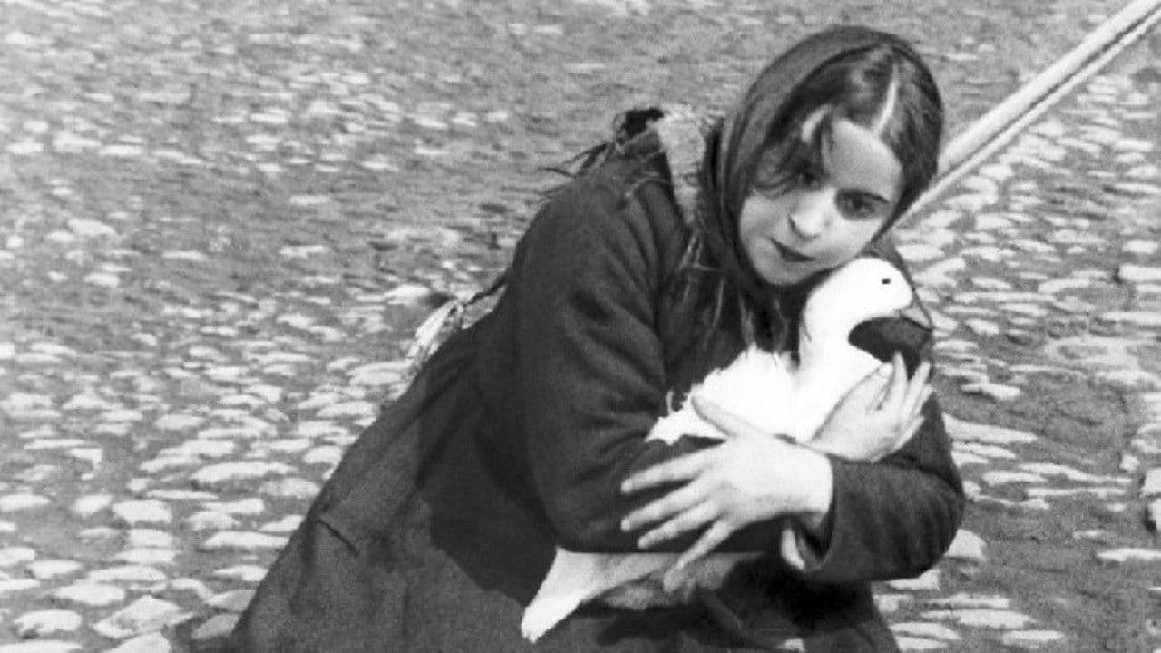 트루브나야의 집