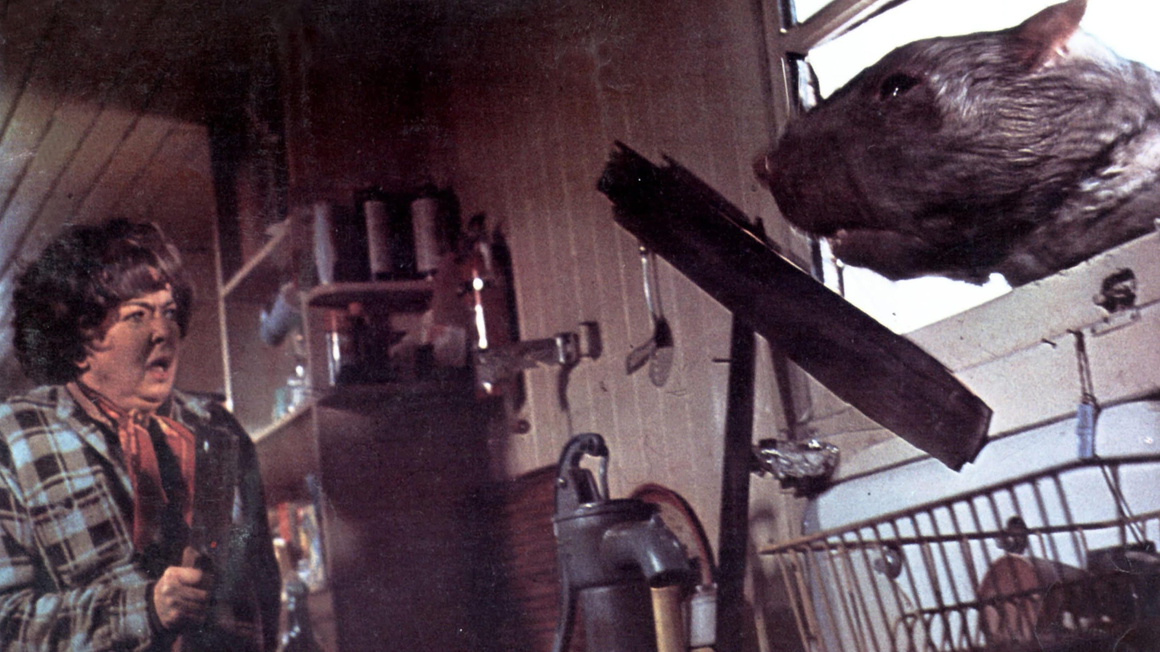 더 푸드 오브 더 갓즈