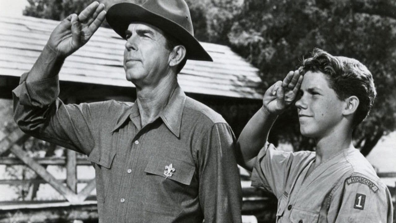 팔로우 미, 보이즈!