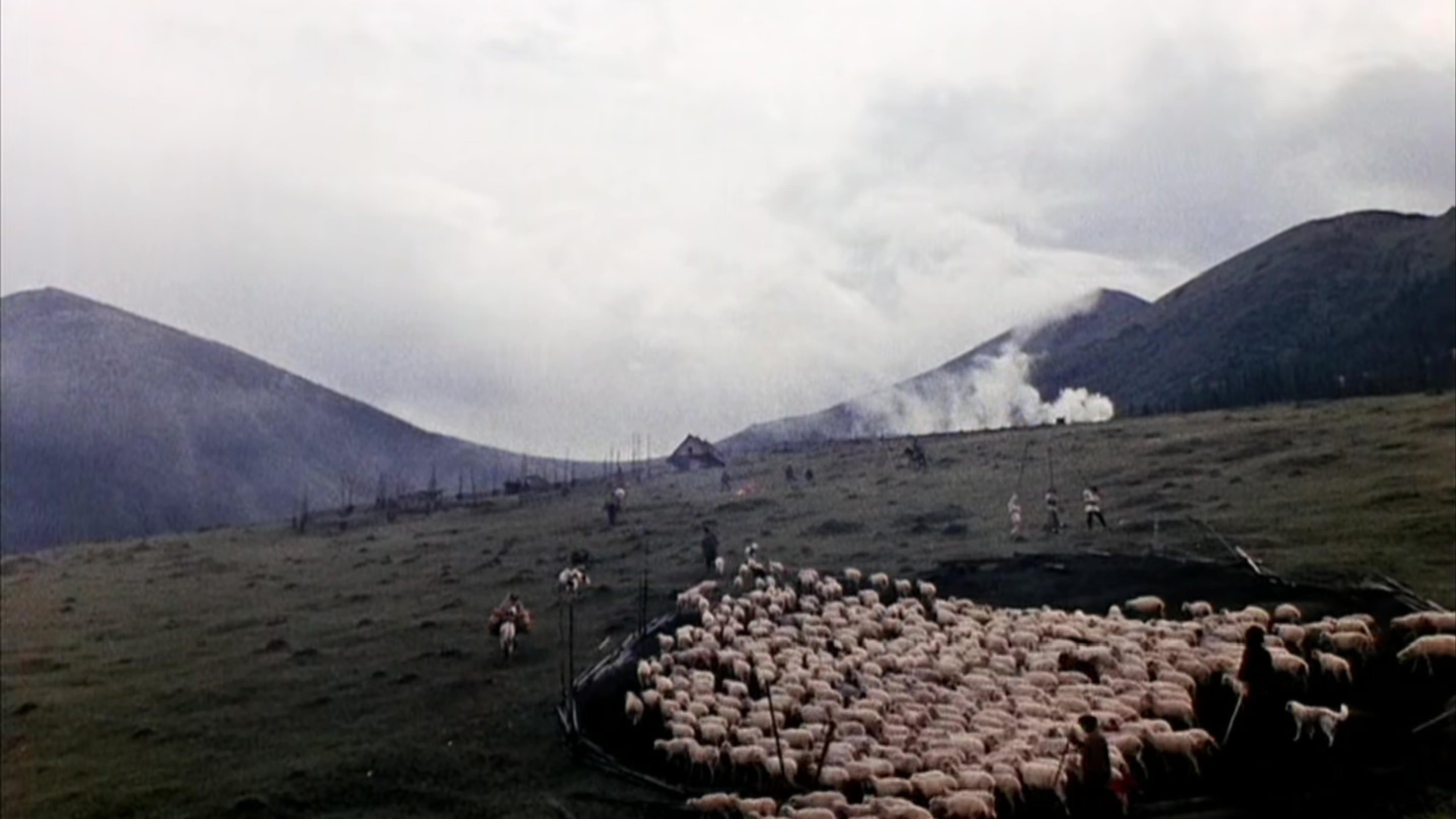 잊혀진 선조들의 그림자