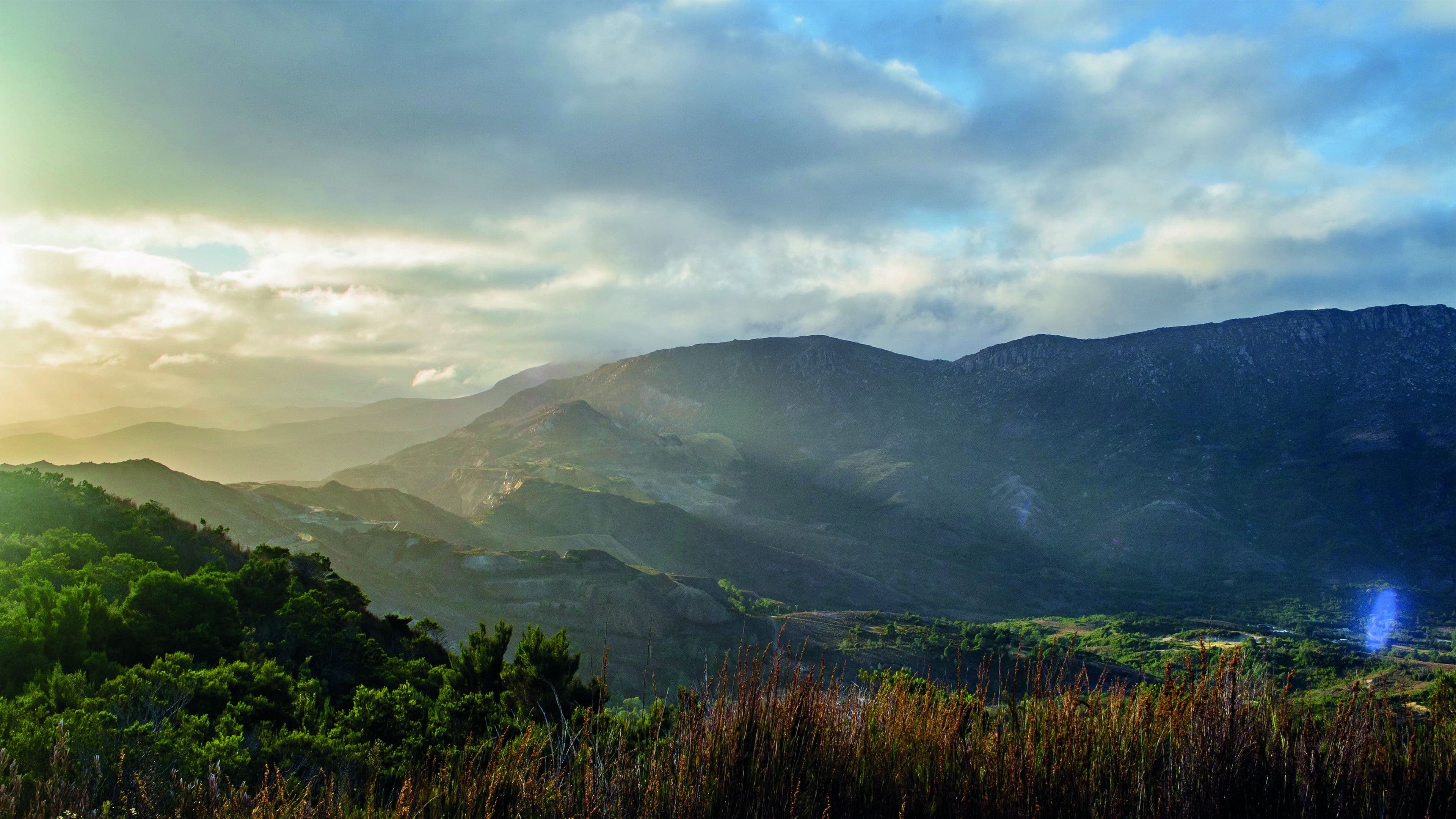 Tasmanian Ghost Town Project: A Diary of Lost Memories