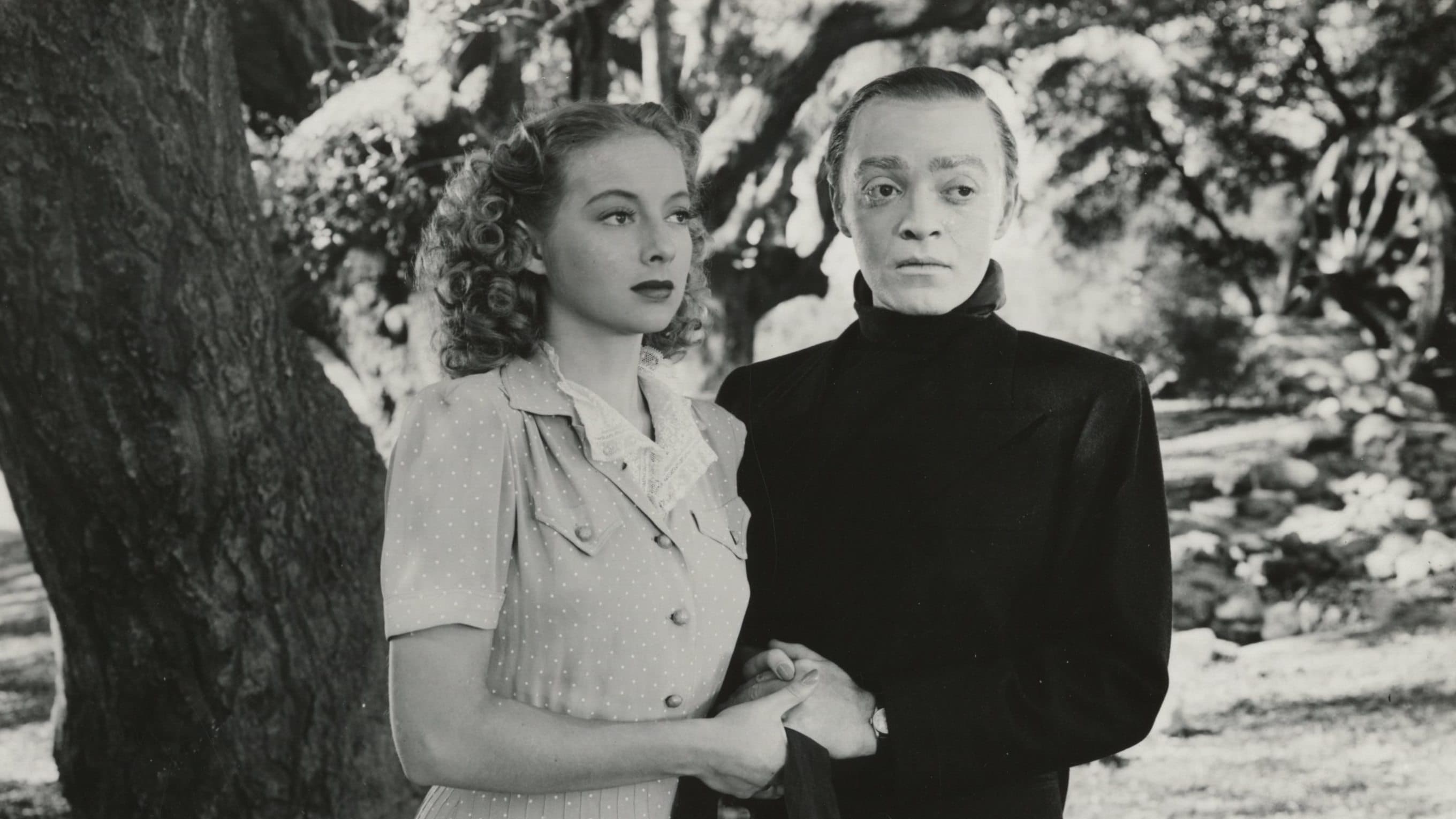 더 페이스 비하인드 더 마스크