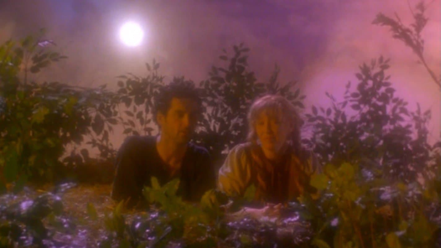 황혼의 얼음 요정