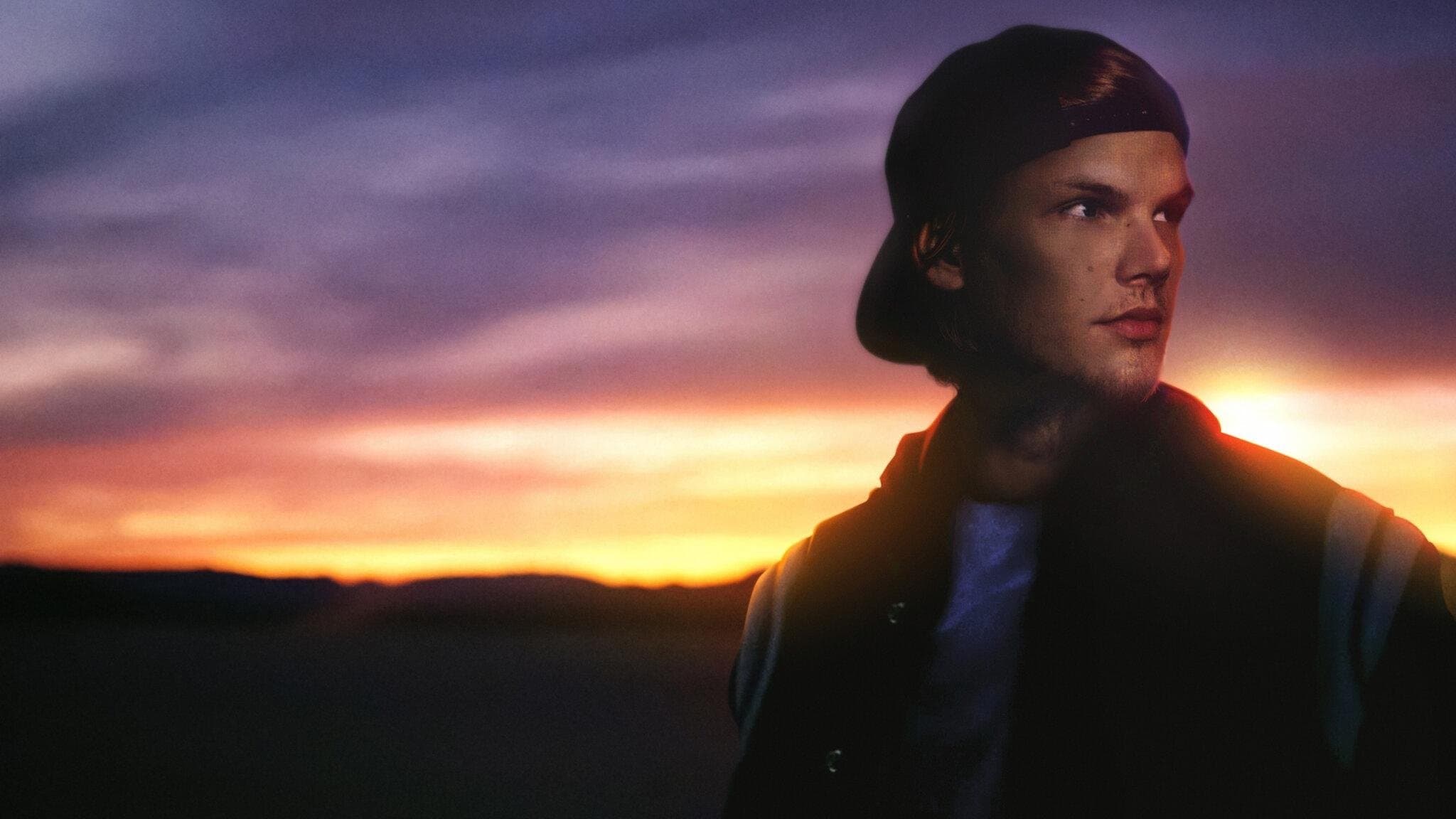 아비치: 내 이름은 팀