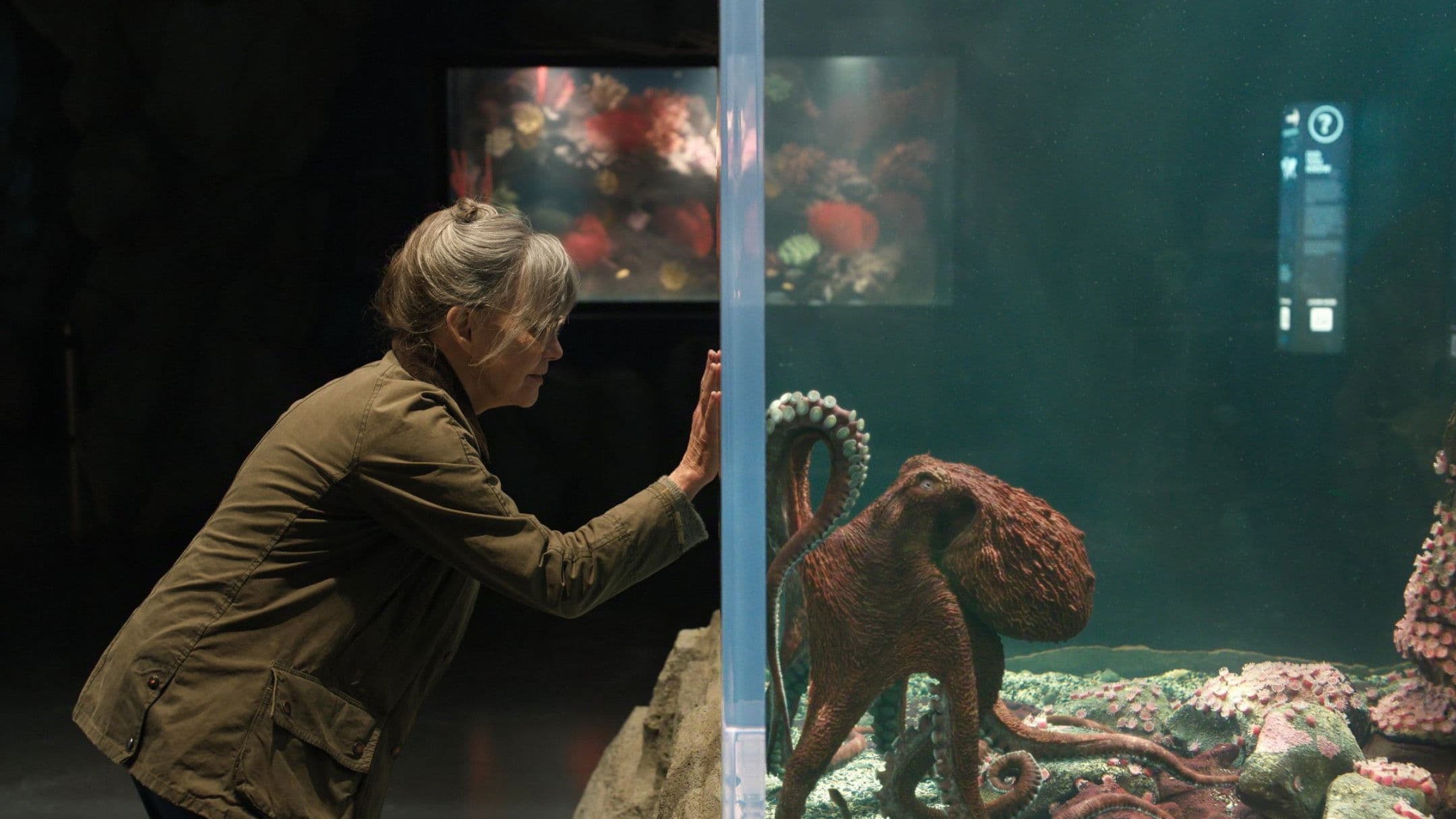 아쿠아리움이 문을 닫으면